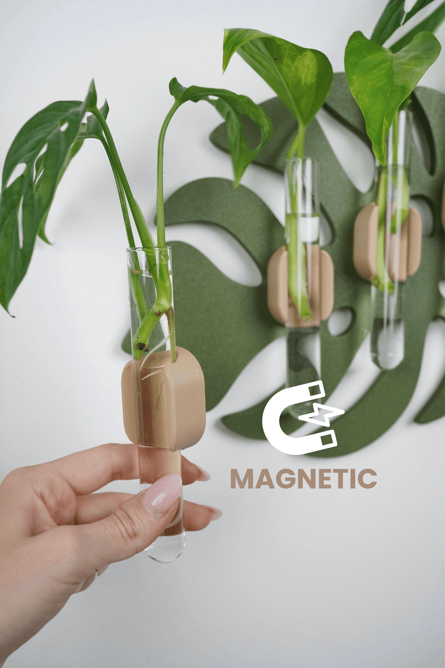 Monstera Leaf Wall-Mounted Propagation Station
