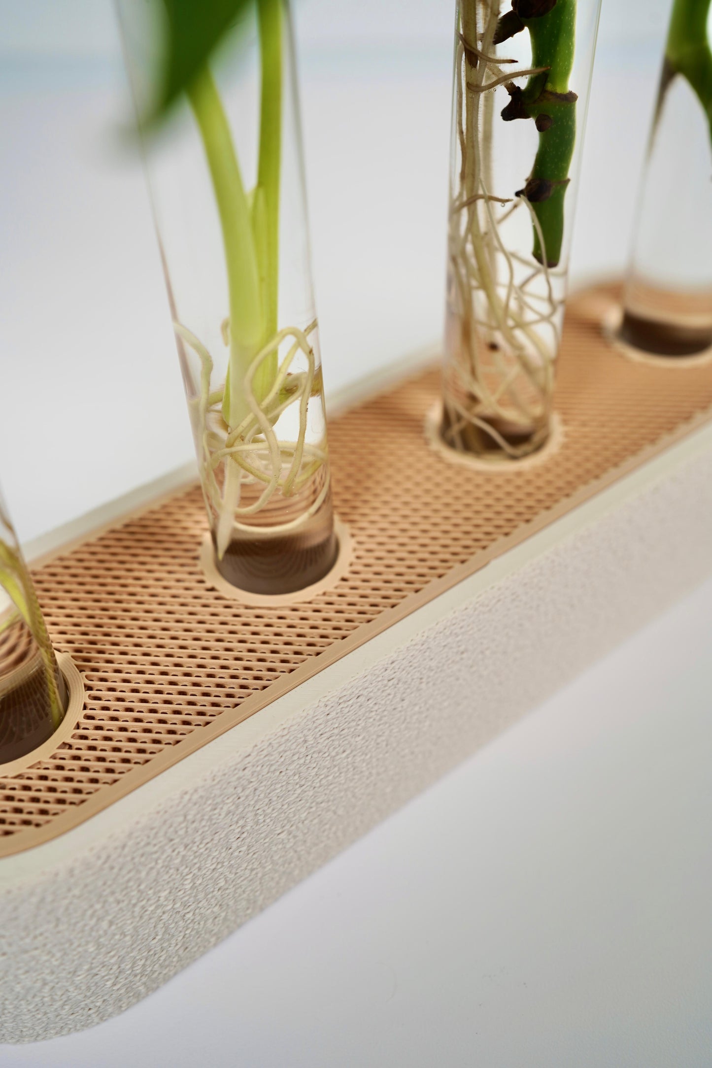 Plant Propagation Station