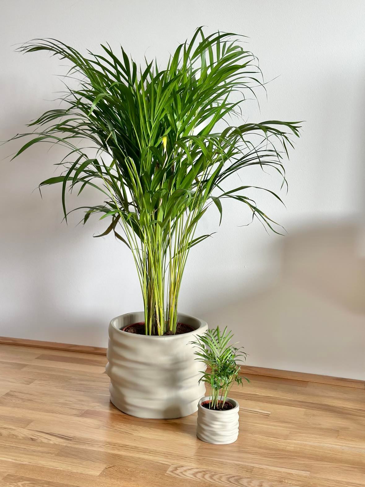 Classic planters