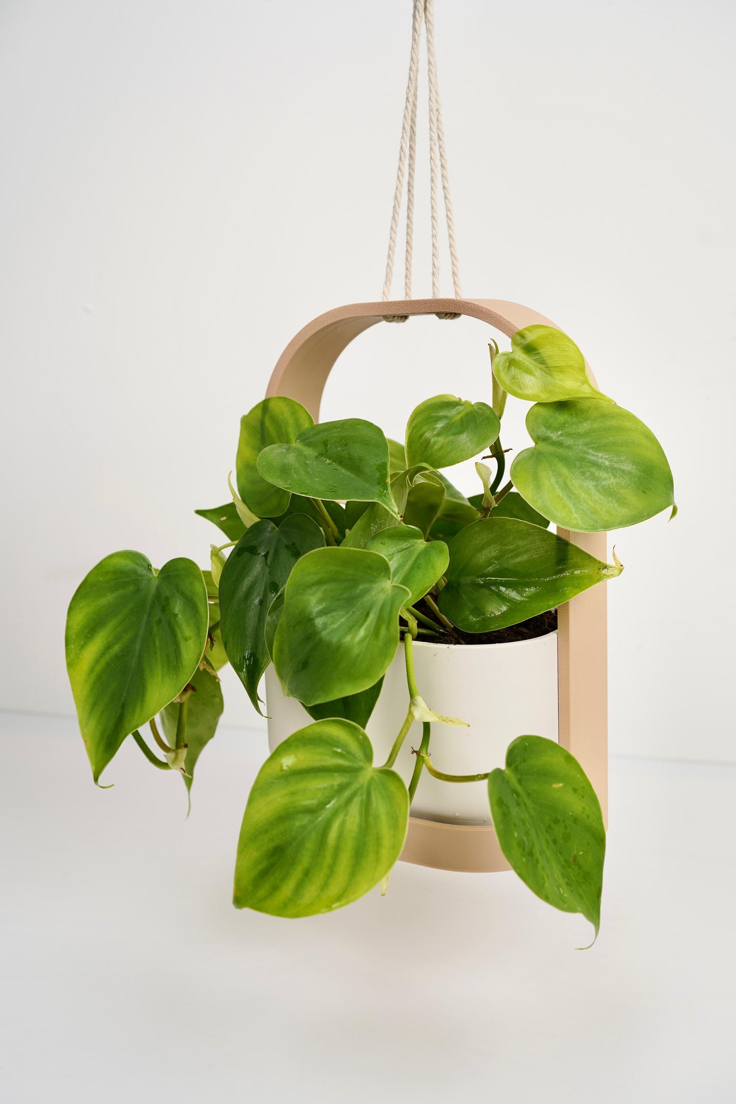 Hanging Planters