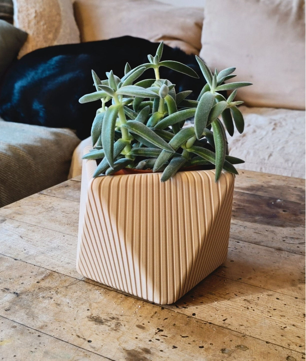 Sustainable Planters
