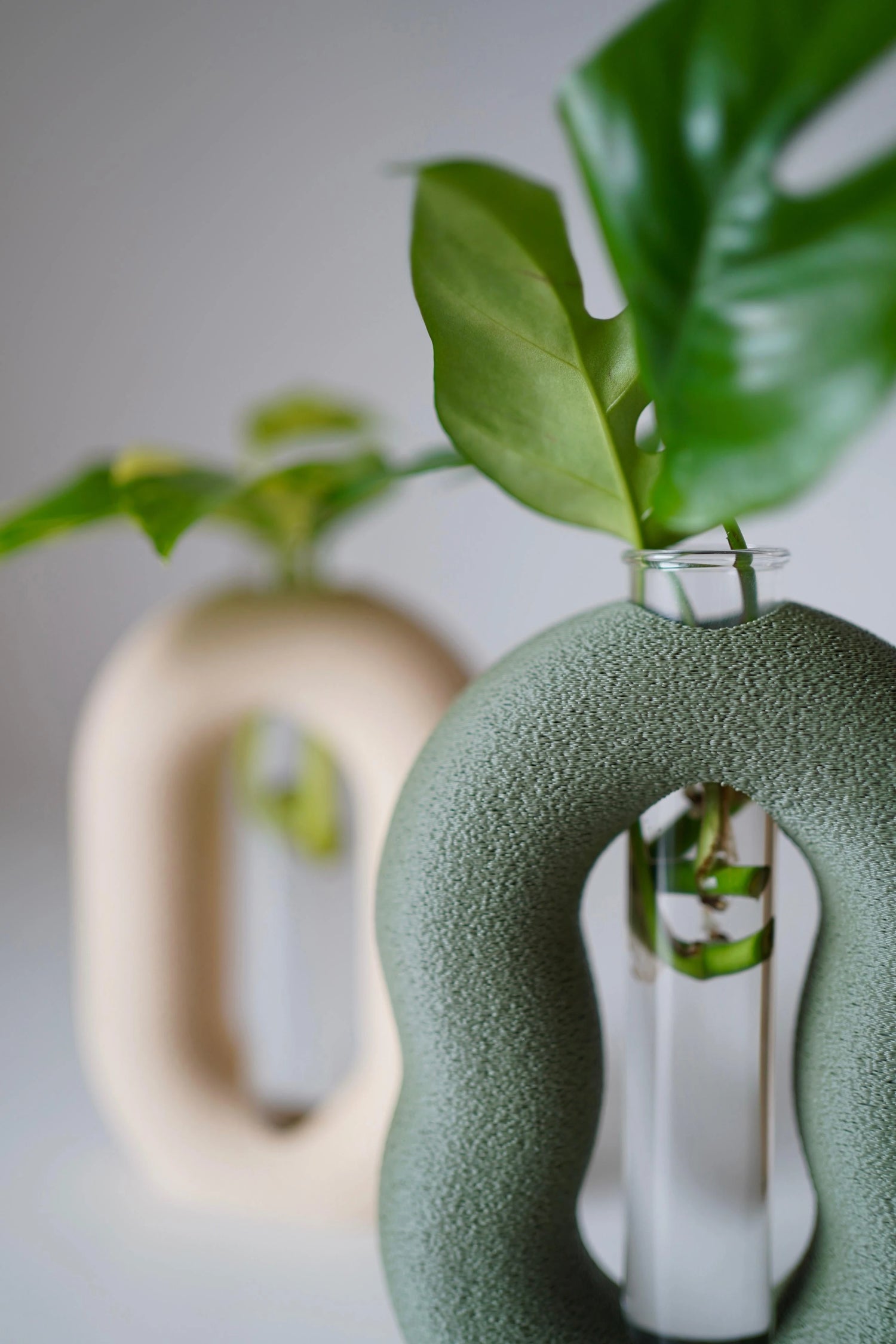 Propagation station