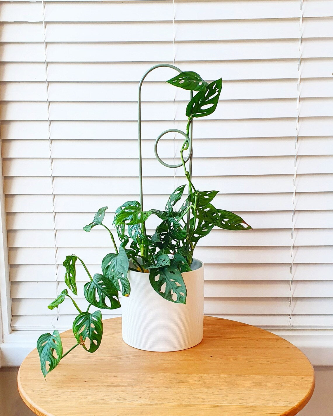 Trellises