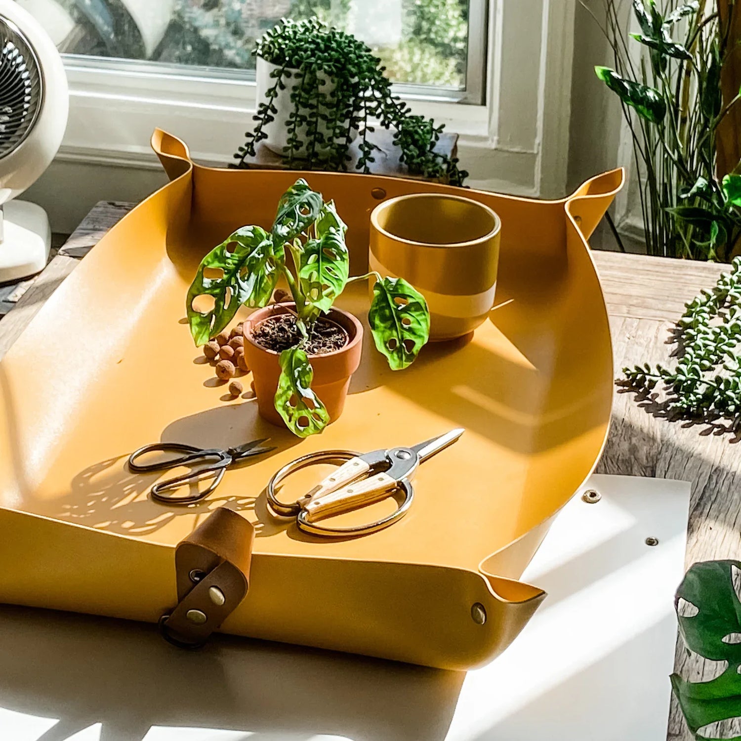 Potting mat & Trays