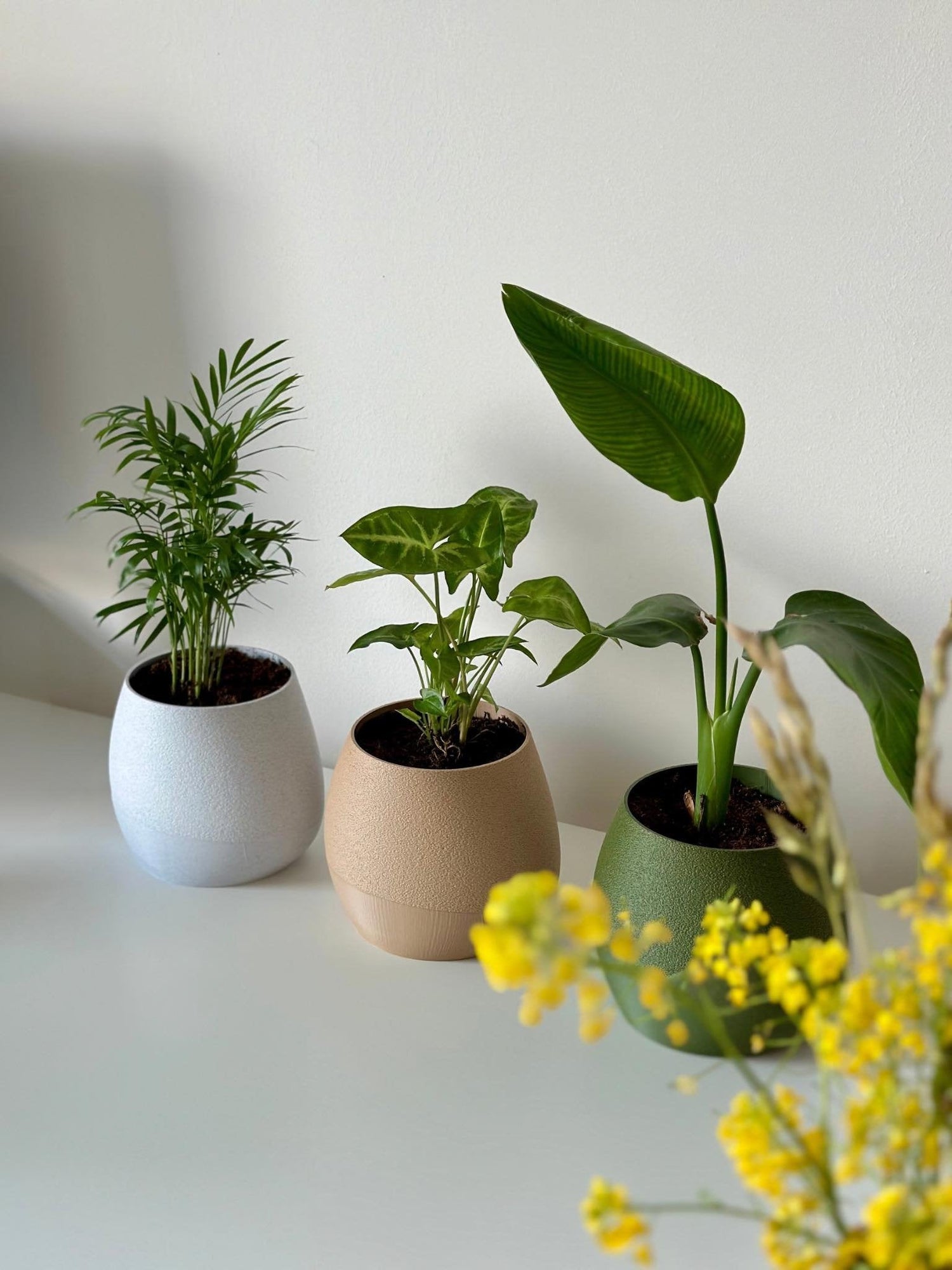 Planters