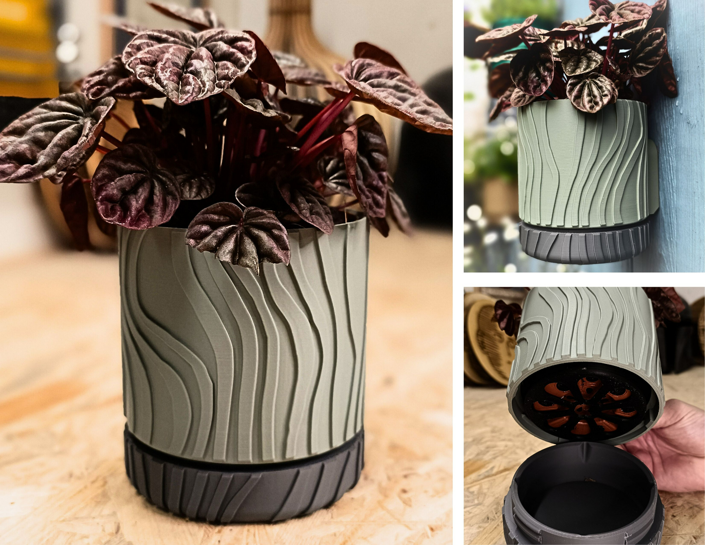 Wall Planter with Hidden Drip Tray