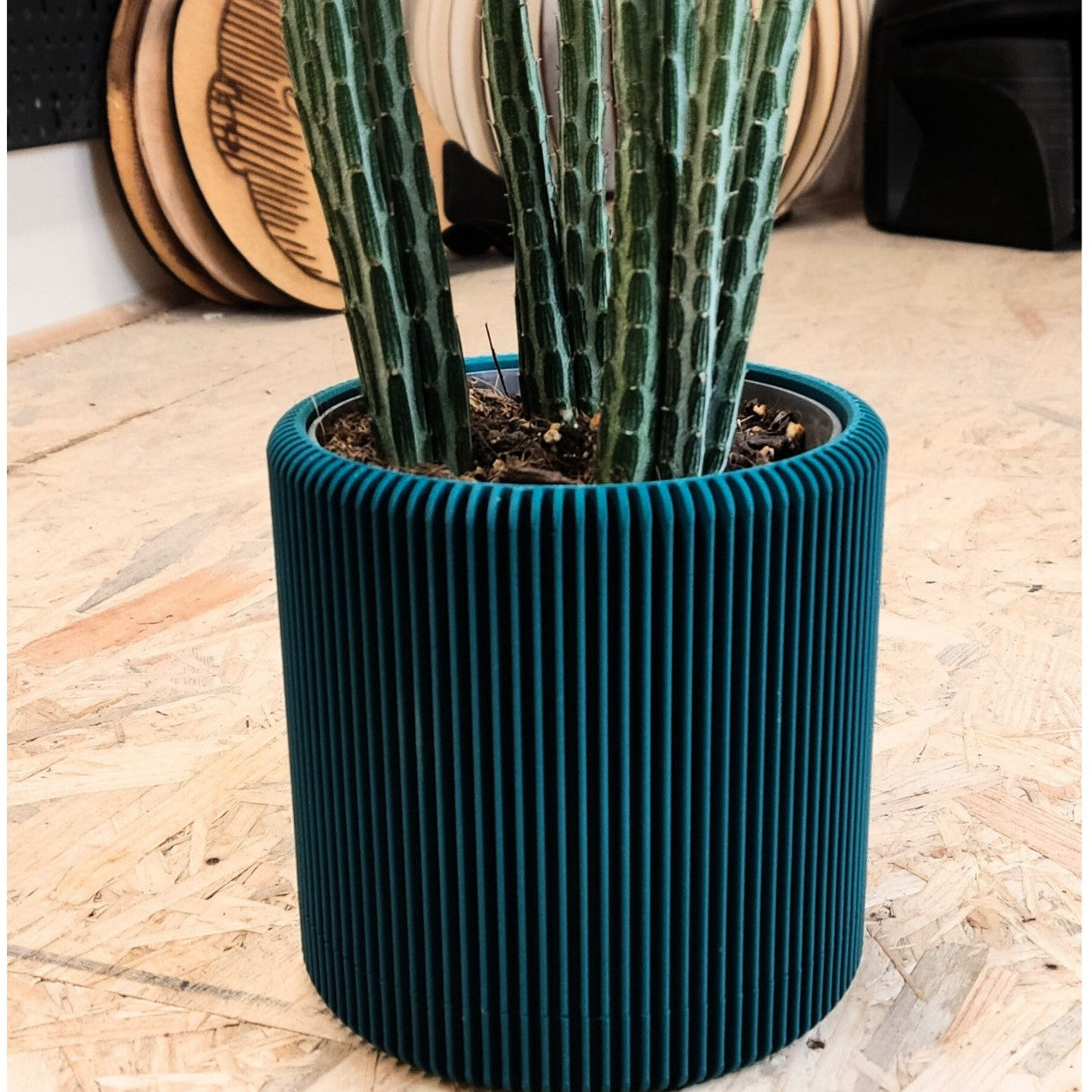 Wall Planter with Hidden Drip Tray