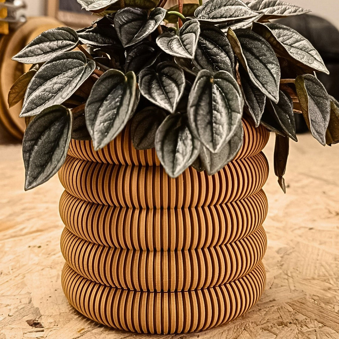 Wall Planter with Hidden Drip Tray