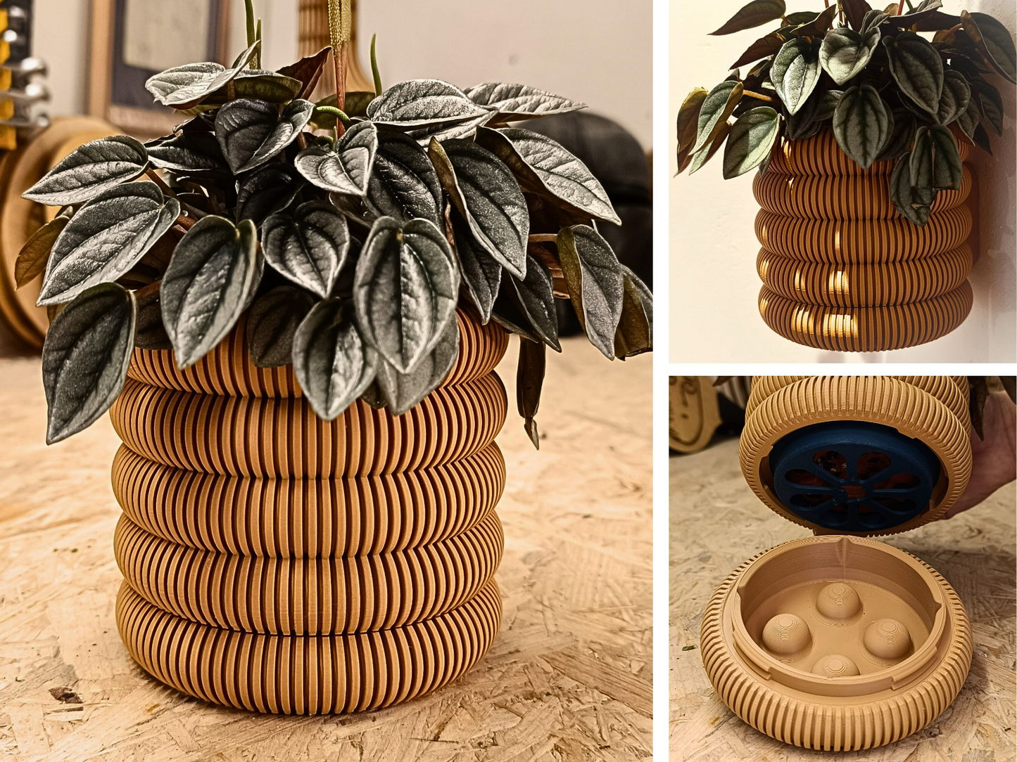 Wall Planter with Hidden Drip Tray