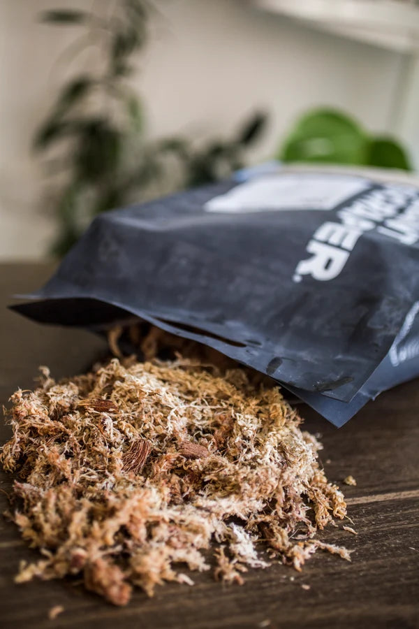 MOSS POLE MIX (8.5L BAG)