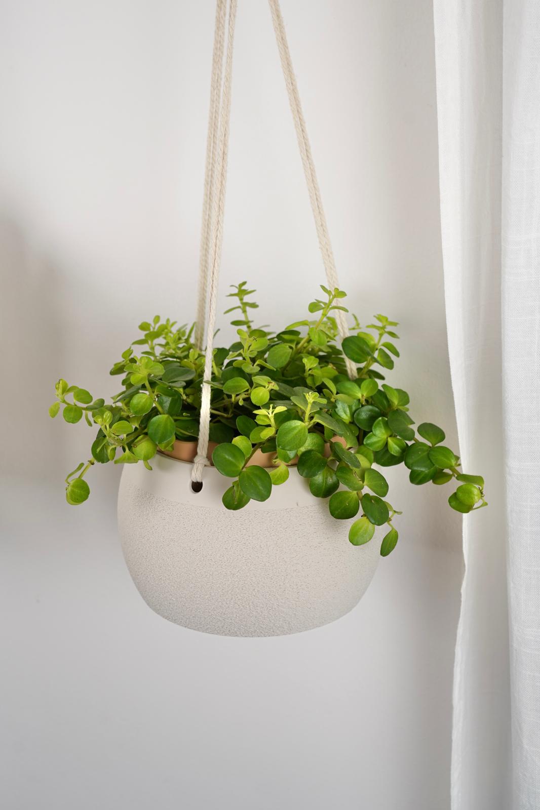 Hanging Planter