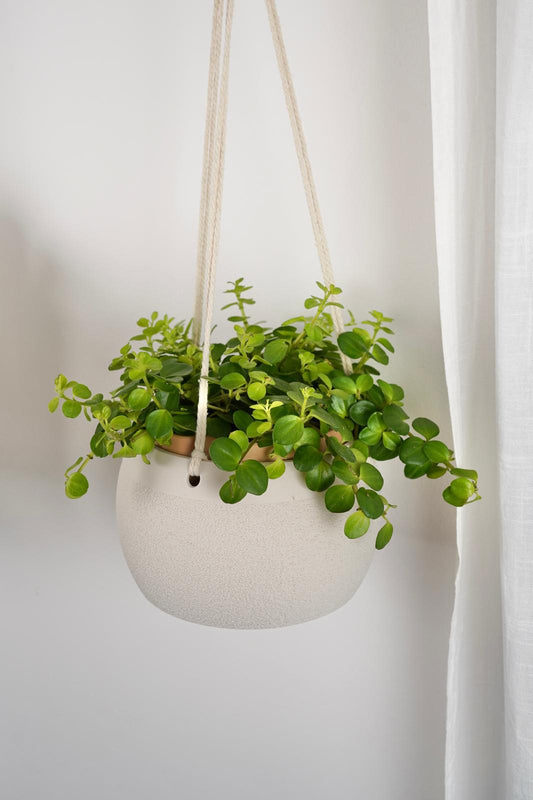 Hanging Planter