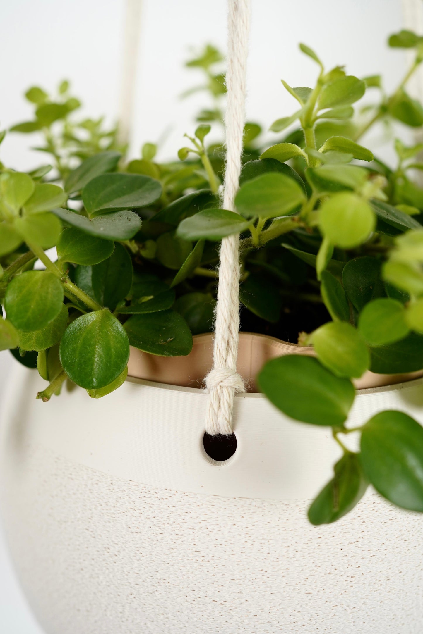 Hanging Planter