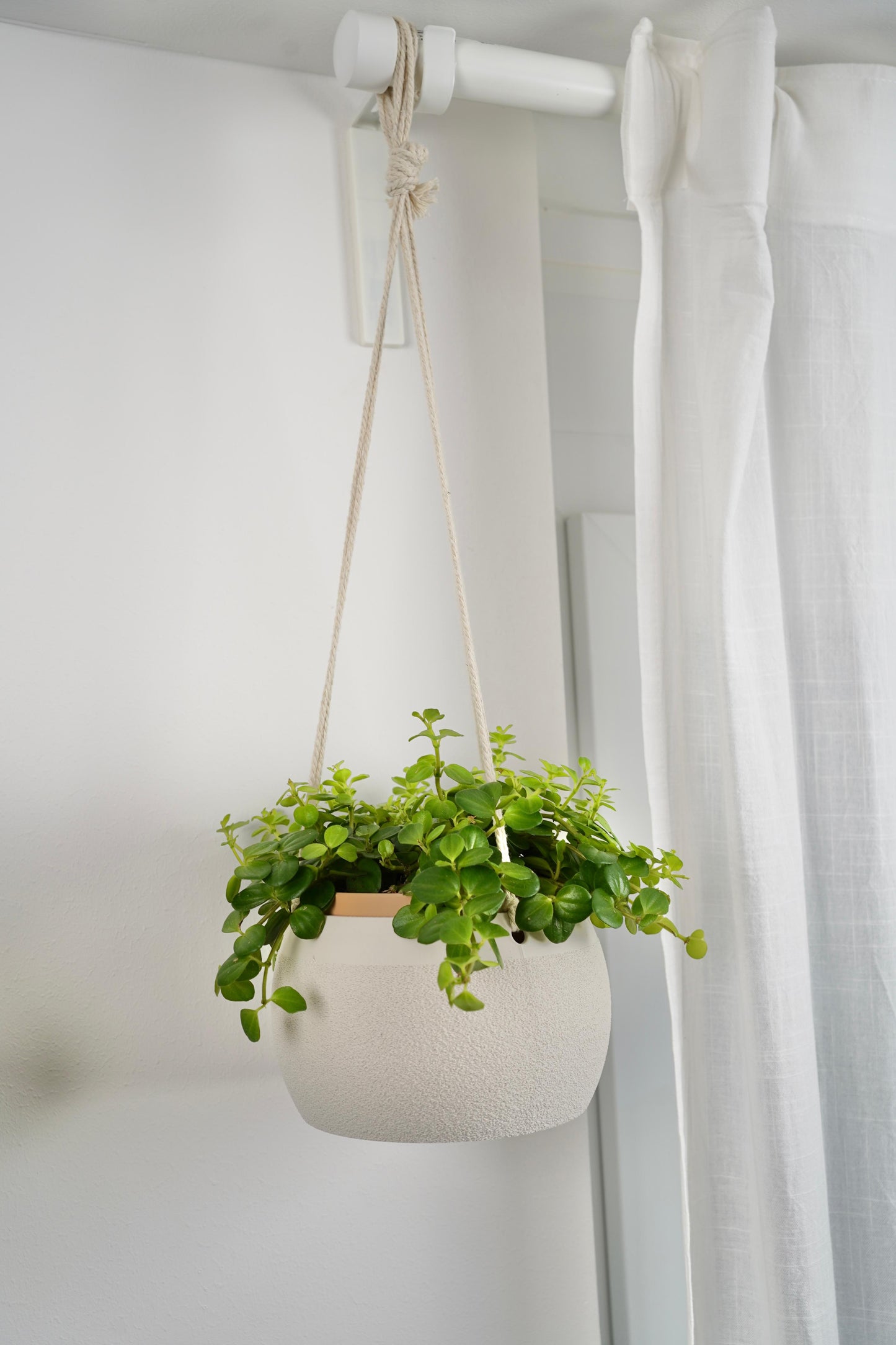 Hanging Planter