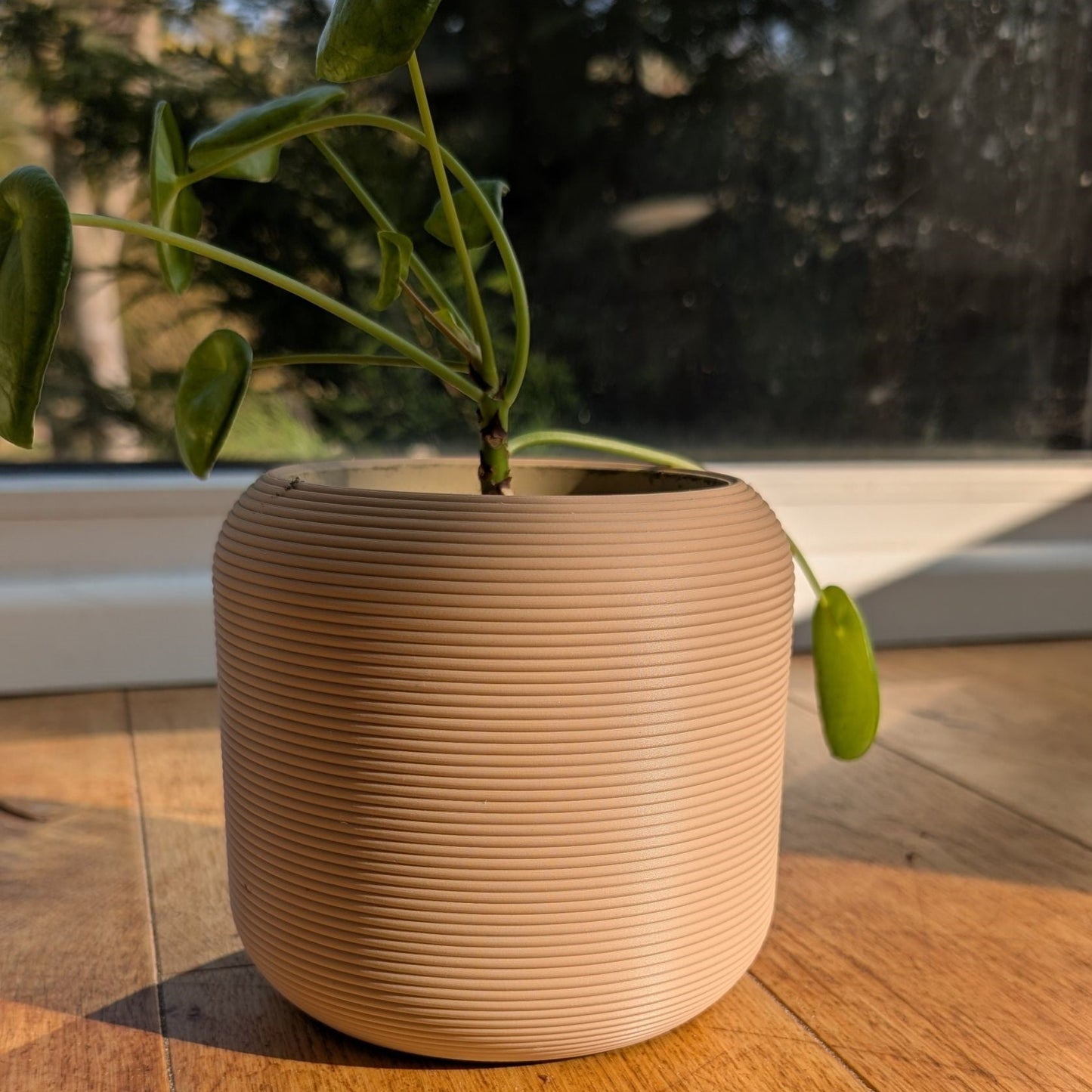 Wall Planter with Hidden Drip Tray