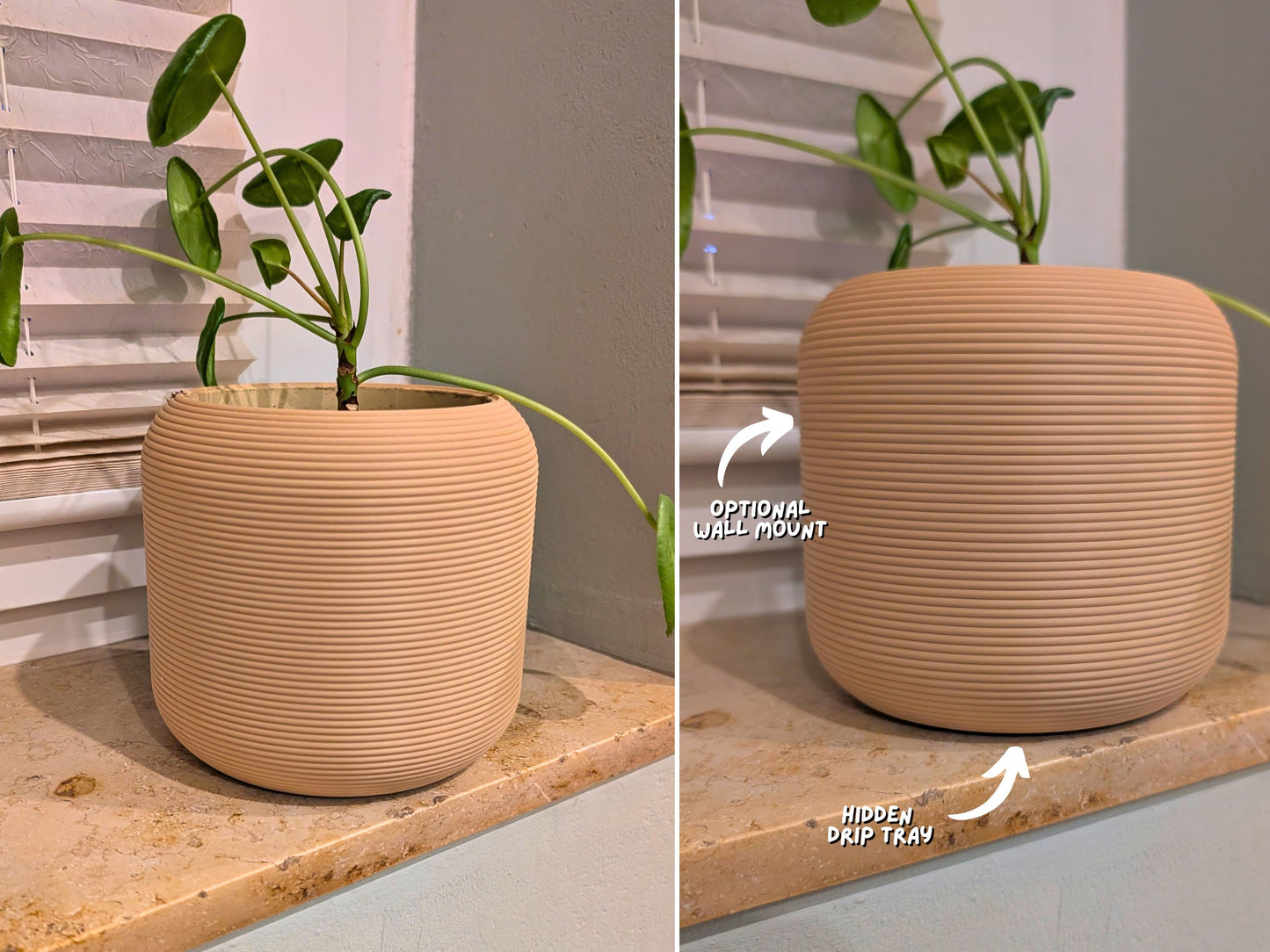 Wall Planter with Hidden Drip Tray
