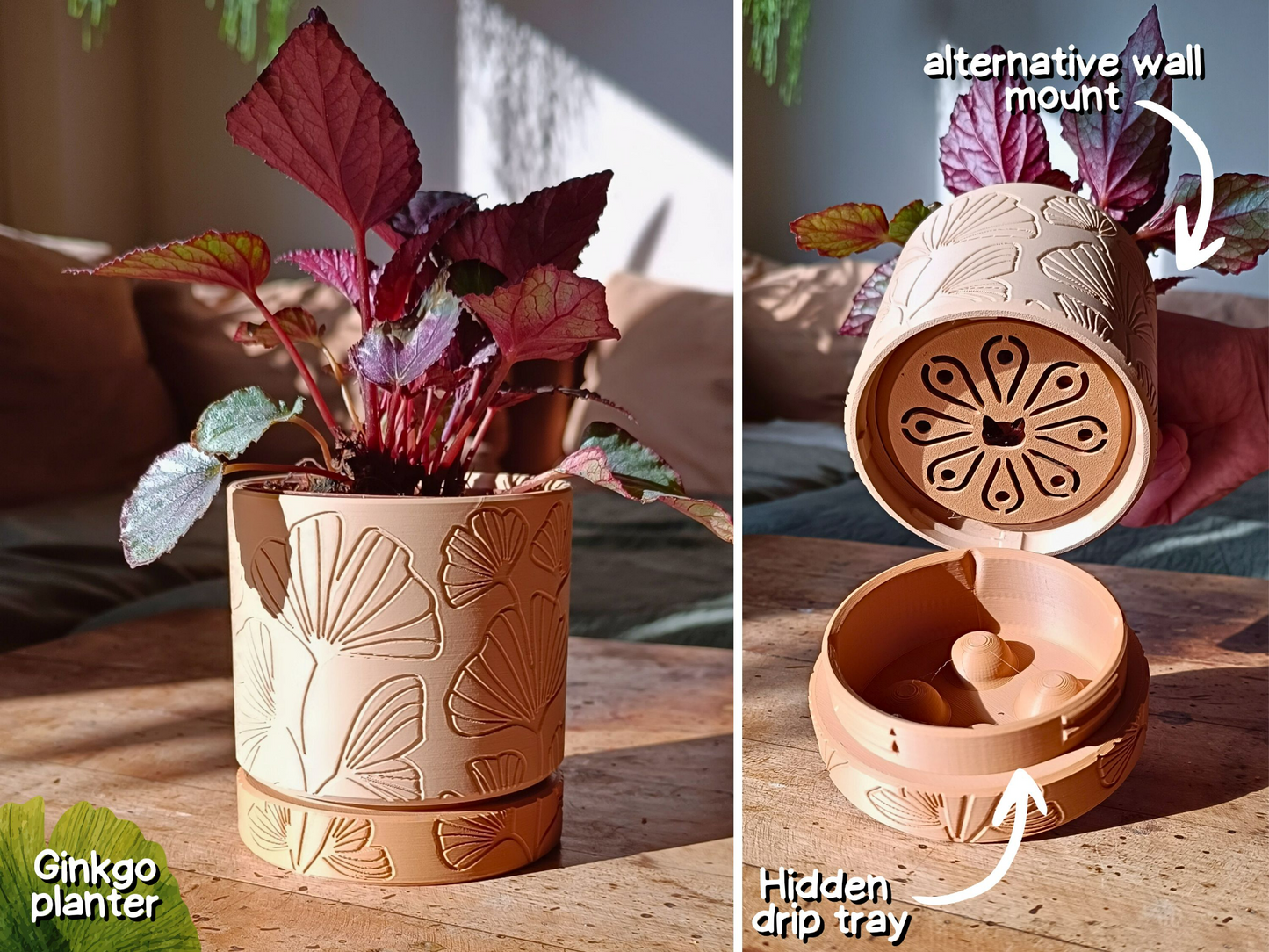 Wall Planter with hidden drip tray