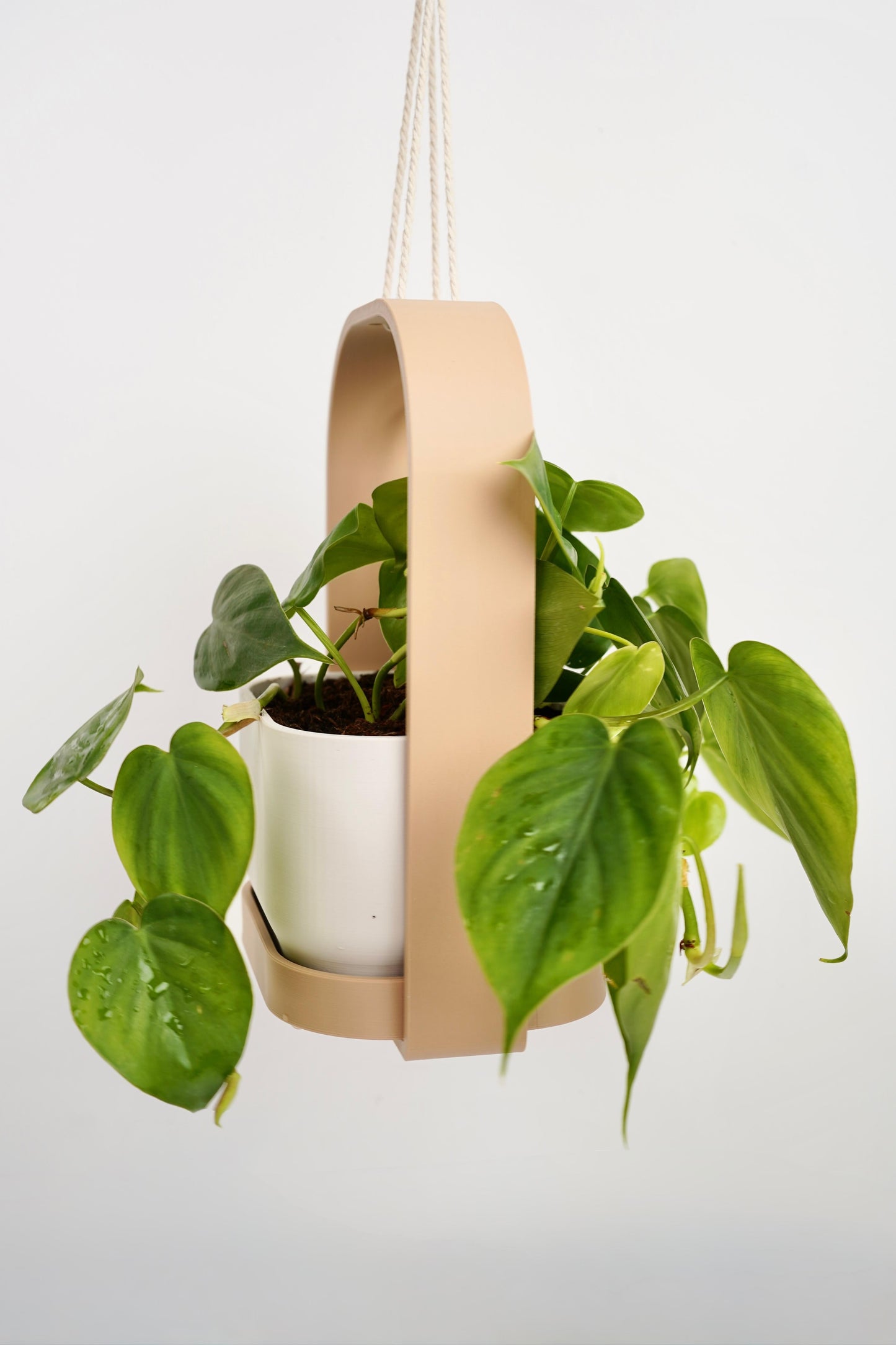 Hanging Planter