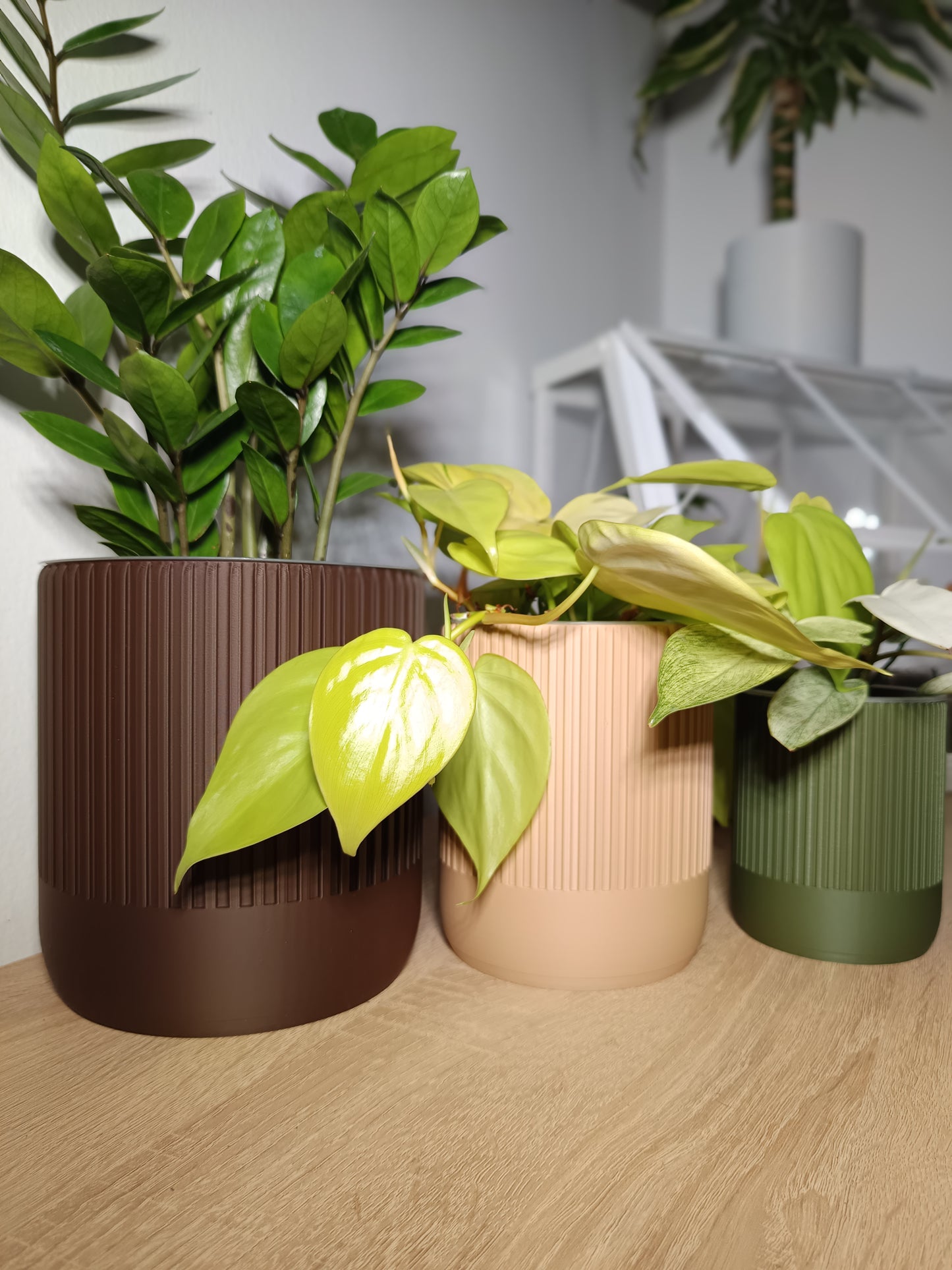 NestPot Erlin – Decorative Cage Cover for Aroid Nursery Pots