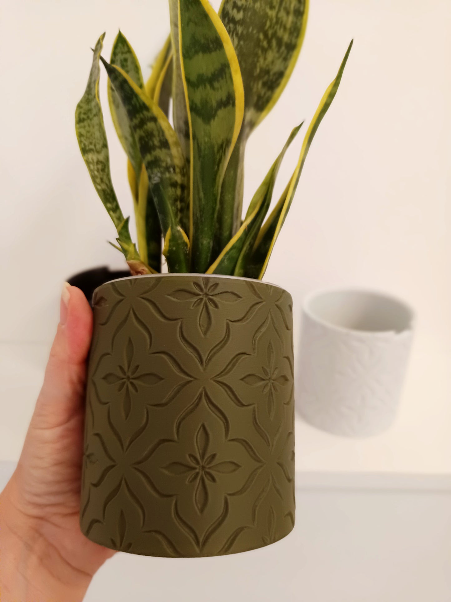 NestPot Flora – Decorative Cage Cover for Aroid Nursery Pots