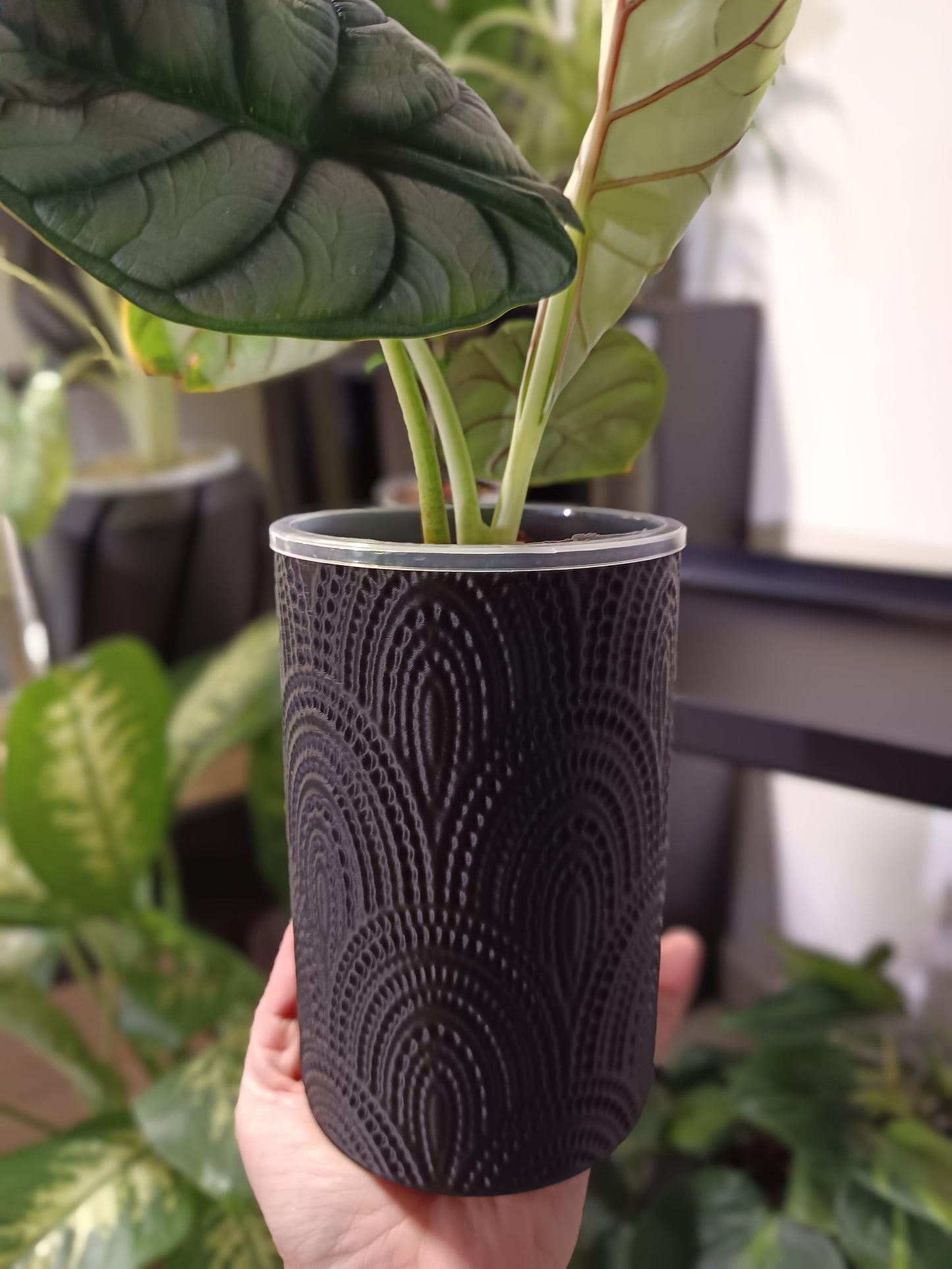 NestPot Tulam – Decorative Cage Cover for Aroid Nursery Pots