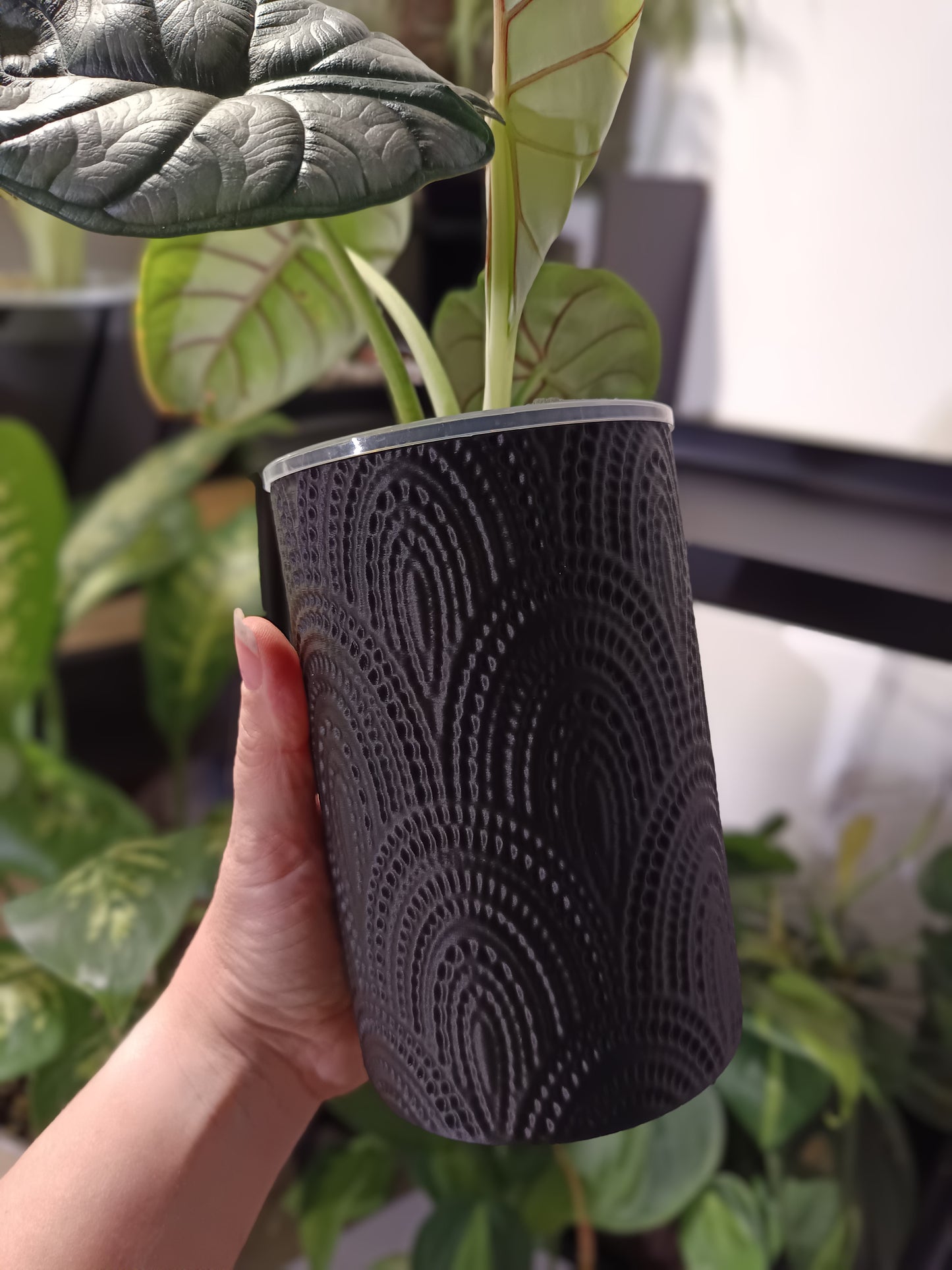 NestPot Tulam – Decorative Cage Cover for Aroid Nursery Pots