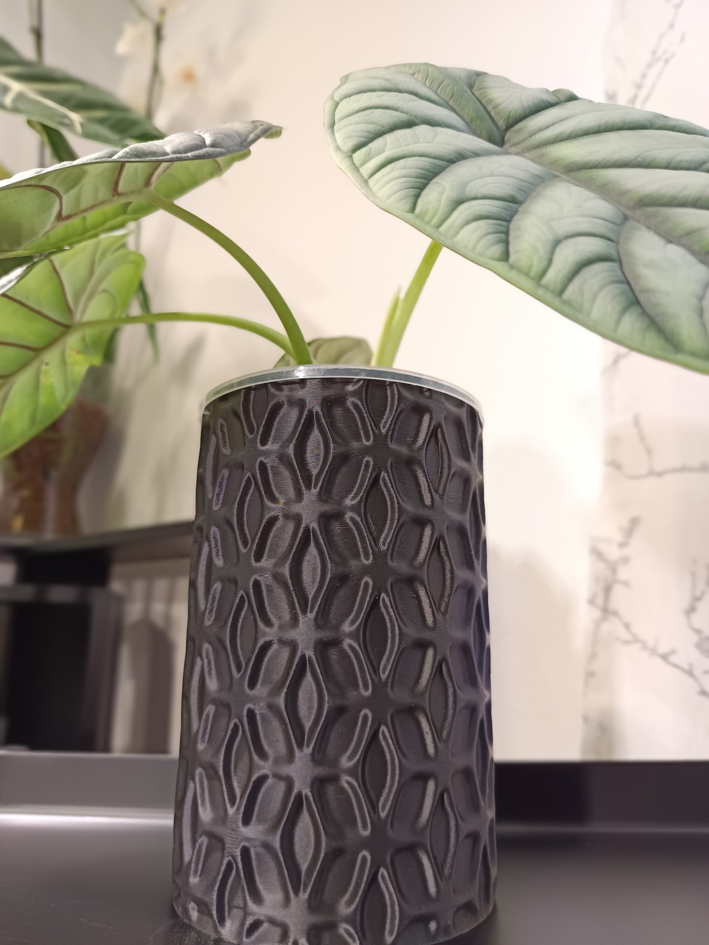 NestPot Ondir – Decorative Cage Cover for Aroid Nursery Pots