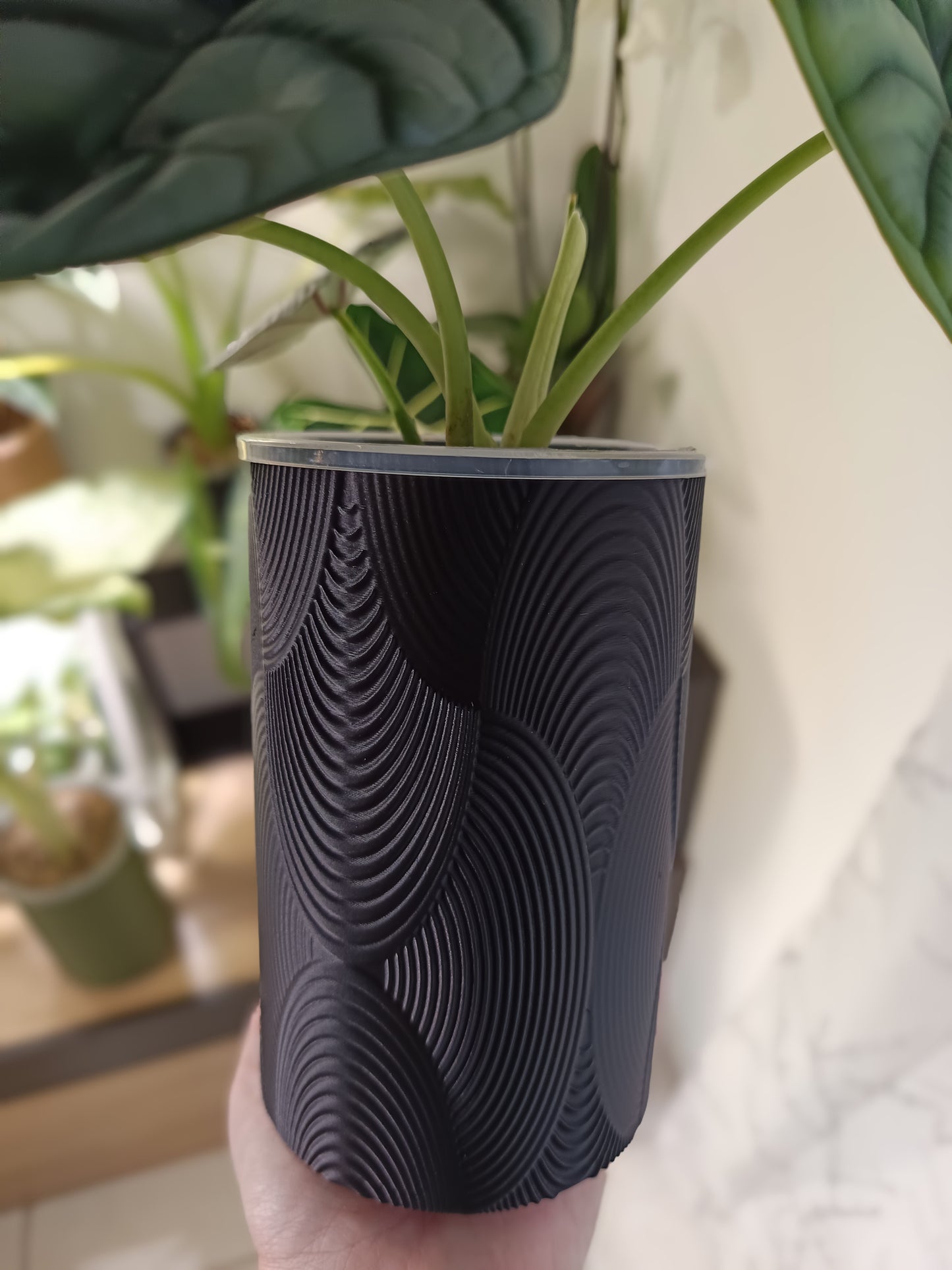 NestPot Wave – Decorative Cage Cover for Aroid Nursery Pots