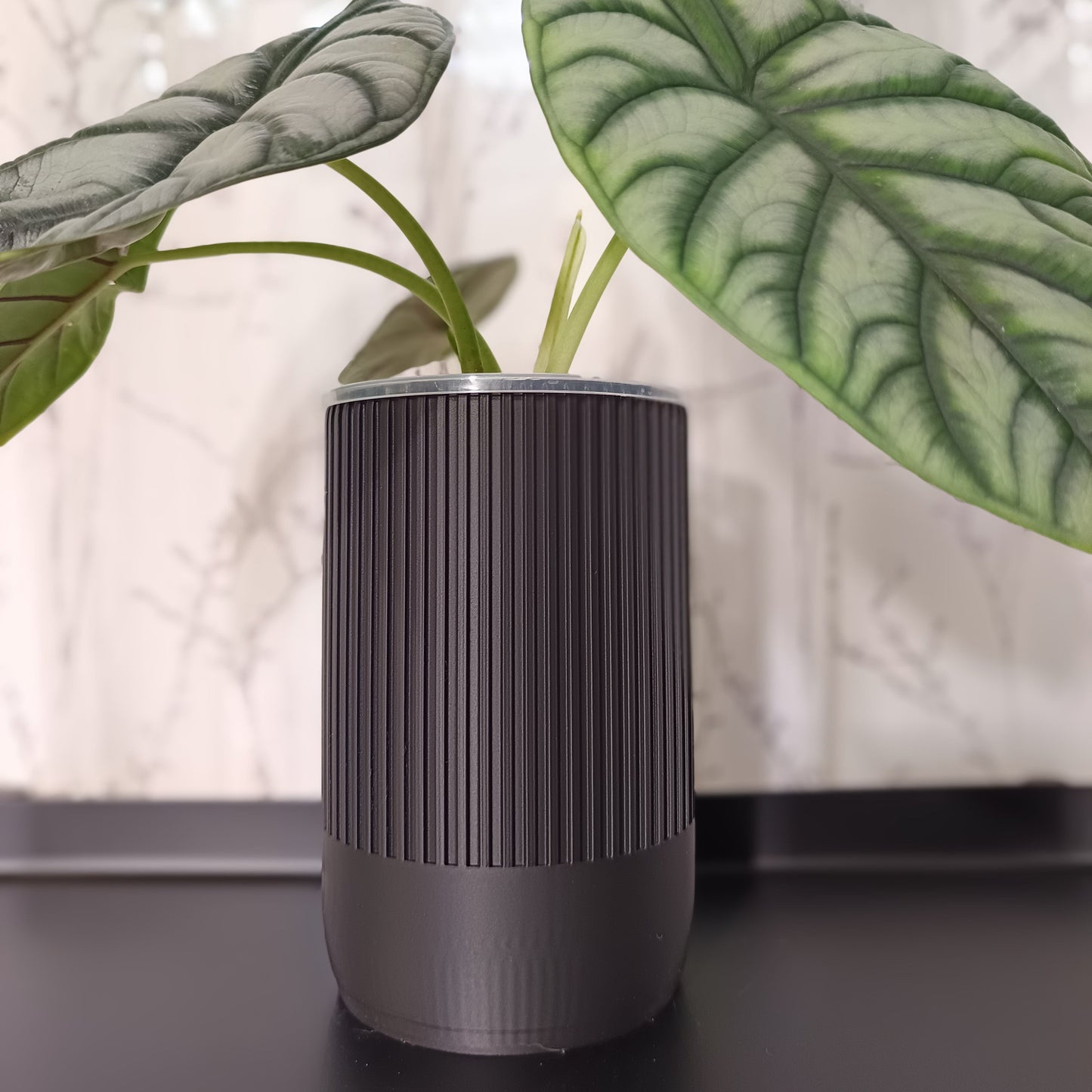 NestPot Erlin – Decorative Cage Cover for Aroid Nursery Pots