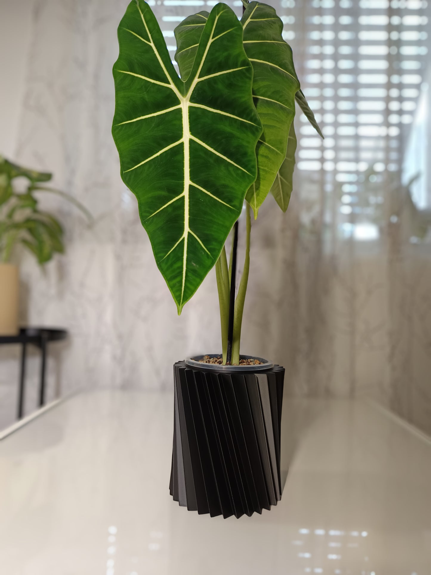 NestPot Wiron – Decorative Cage Cover for Aroid Nursery Pots
