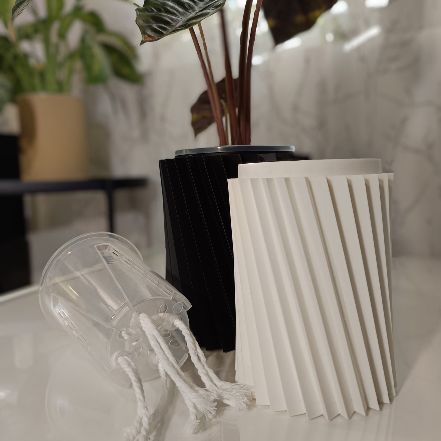 NestPot Wiron – Decorative Cage Cover for Aroid Nursery Pots