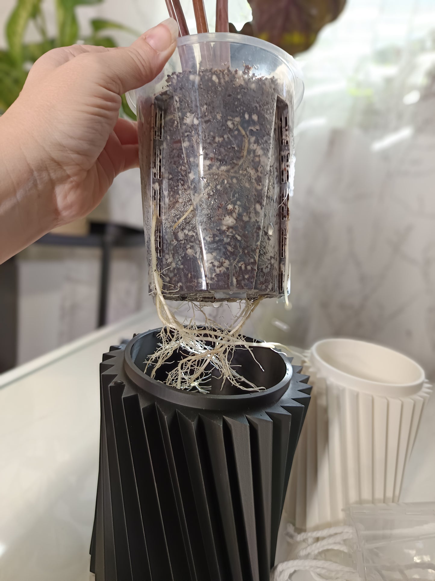 NestPot Wiron – Decorative Cage Cover for Aroid Nursery Pots
