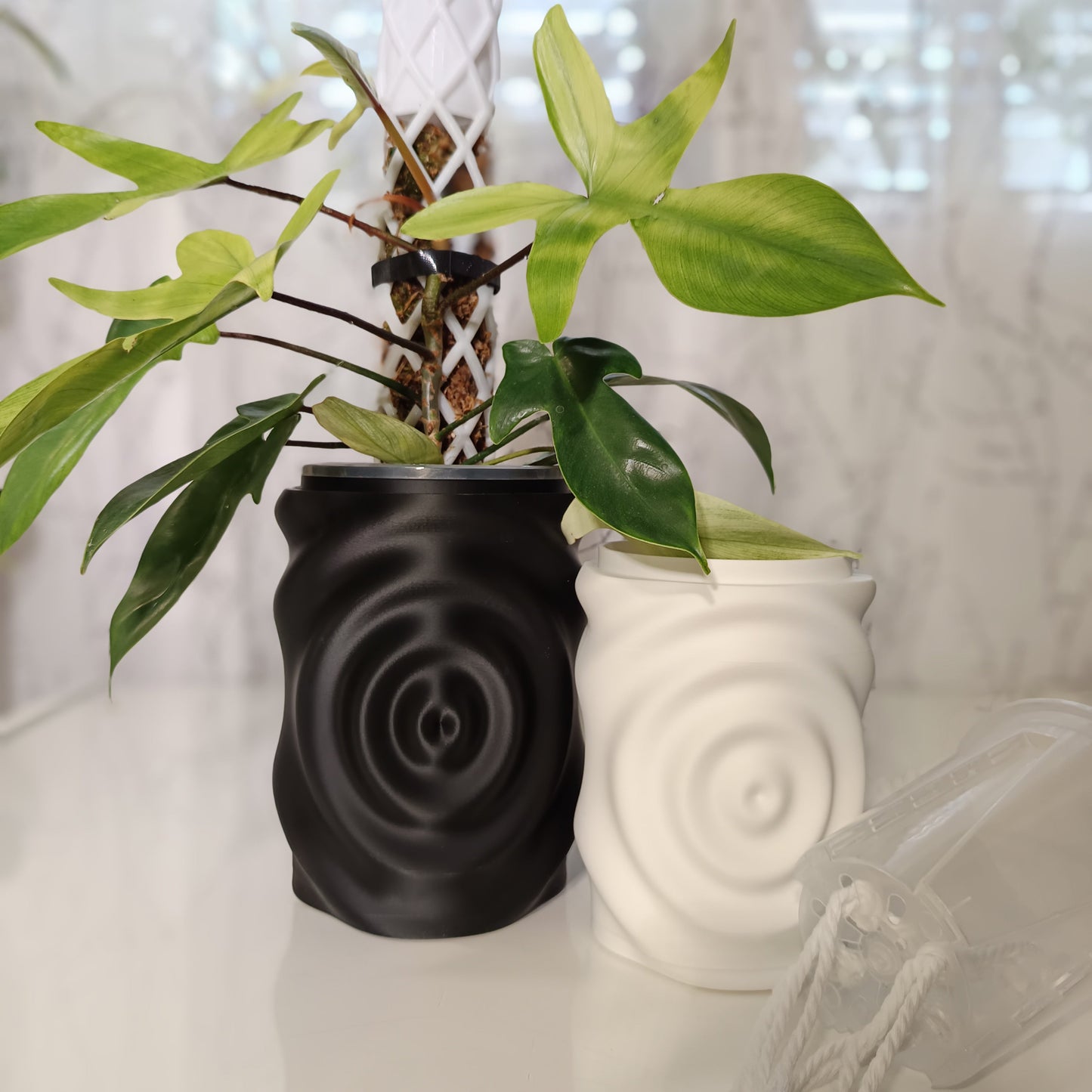 NestPot WaterDrop – Decorative Cage Cover for Aroid Nursery Pots