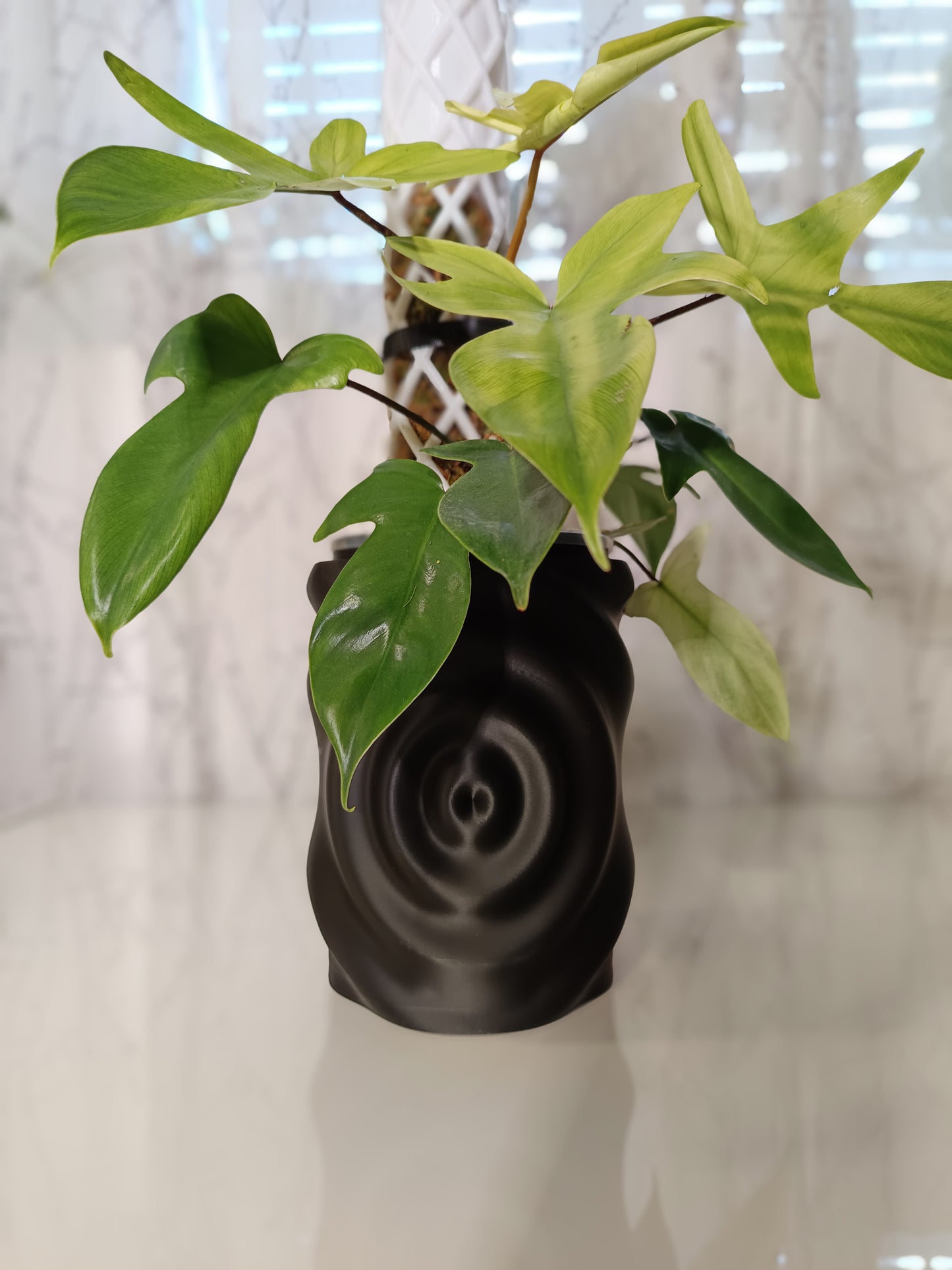 NestPot WaterDrop – Decorative Cage Cover for Aroid Nursery Pots