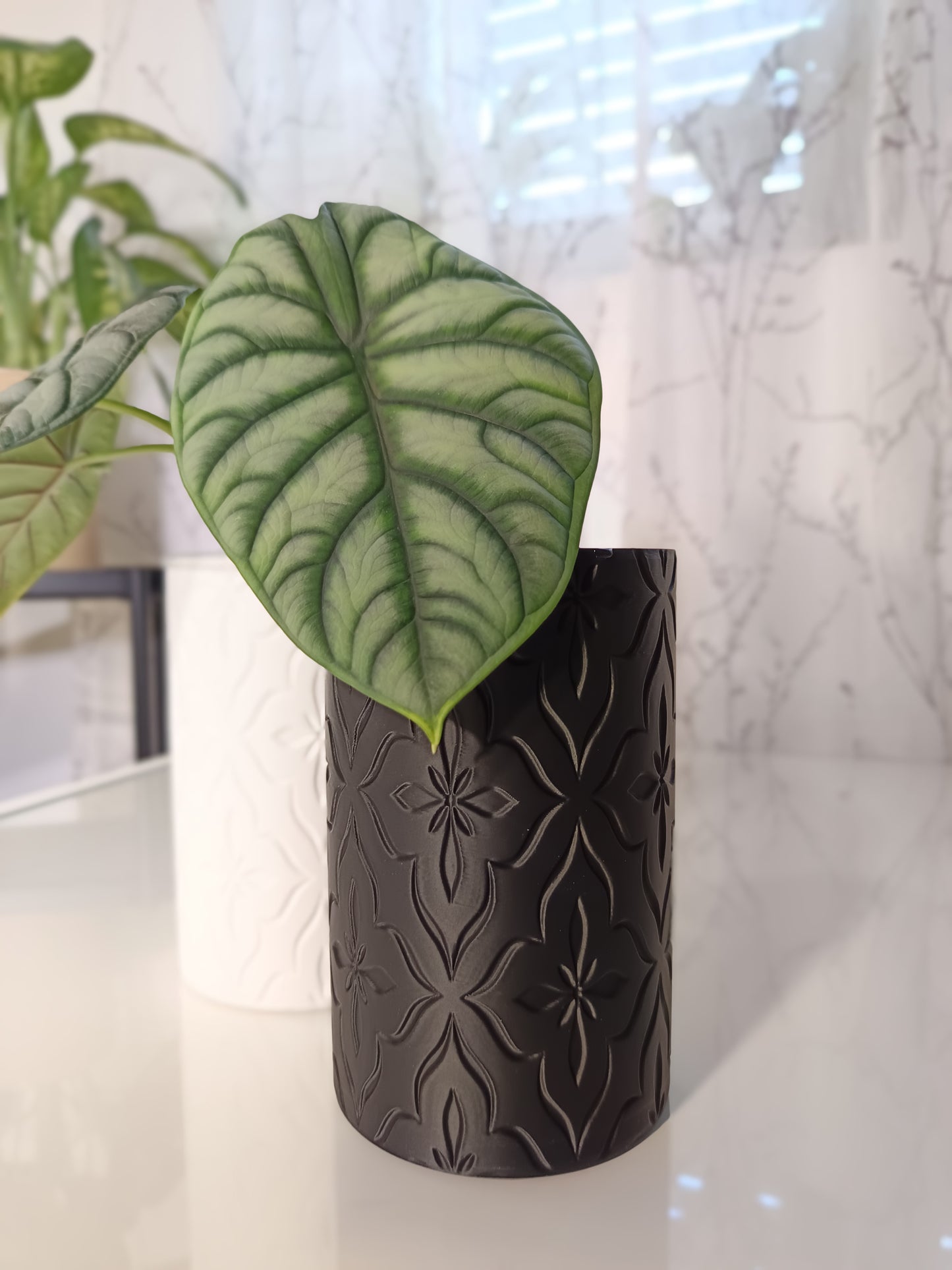 NestPot Flora – Decorative Cage Cover for Aroid Nursery Pots
