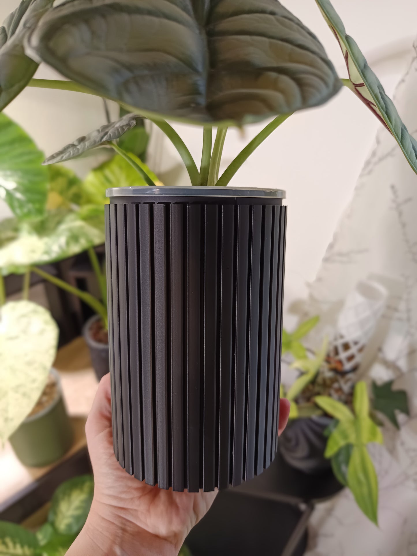 NestPot Zelno – Decorative Cage Cover for Aroid Nursery Pots