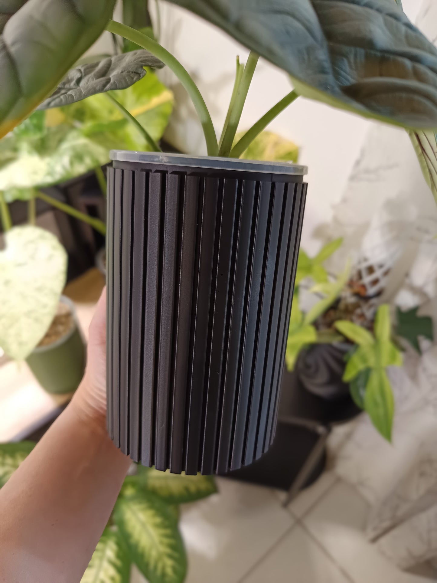 NestPot Zelno – Decorative Cage Cover for Aroid Nursery Pots