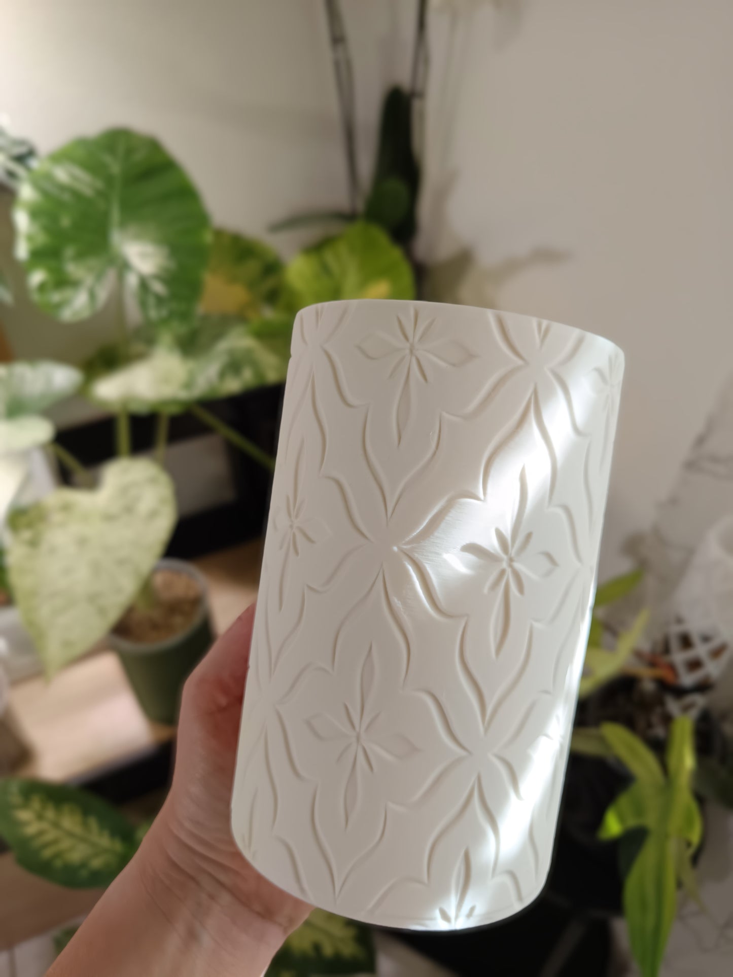 NestPot Flora – Decorative Cage Cover for Aroid Nursery Pots
