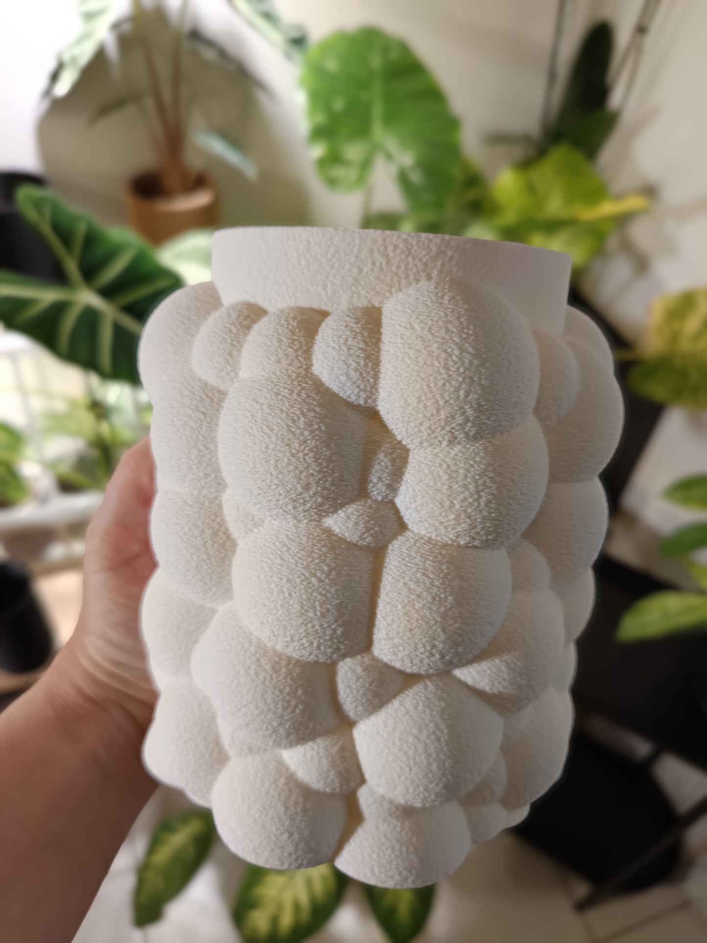 NestPot Bubble – Decorative Cage Cover for Aroid Nursery Pots