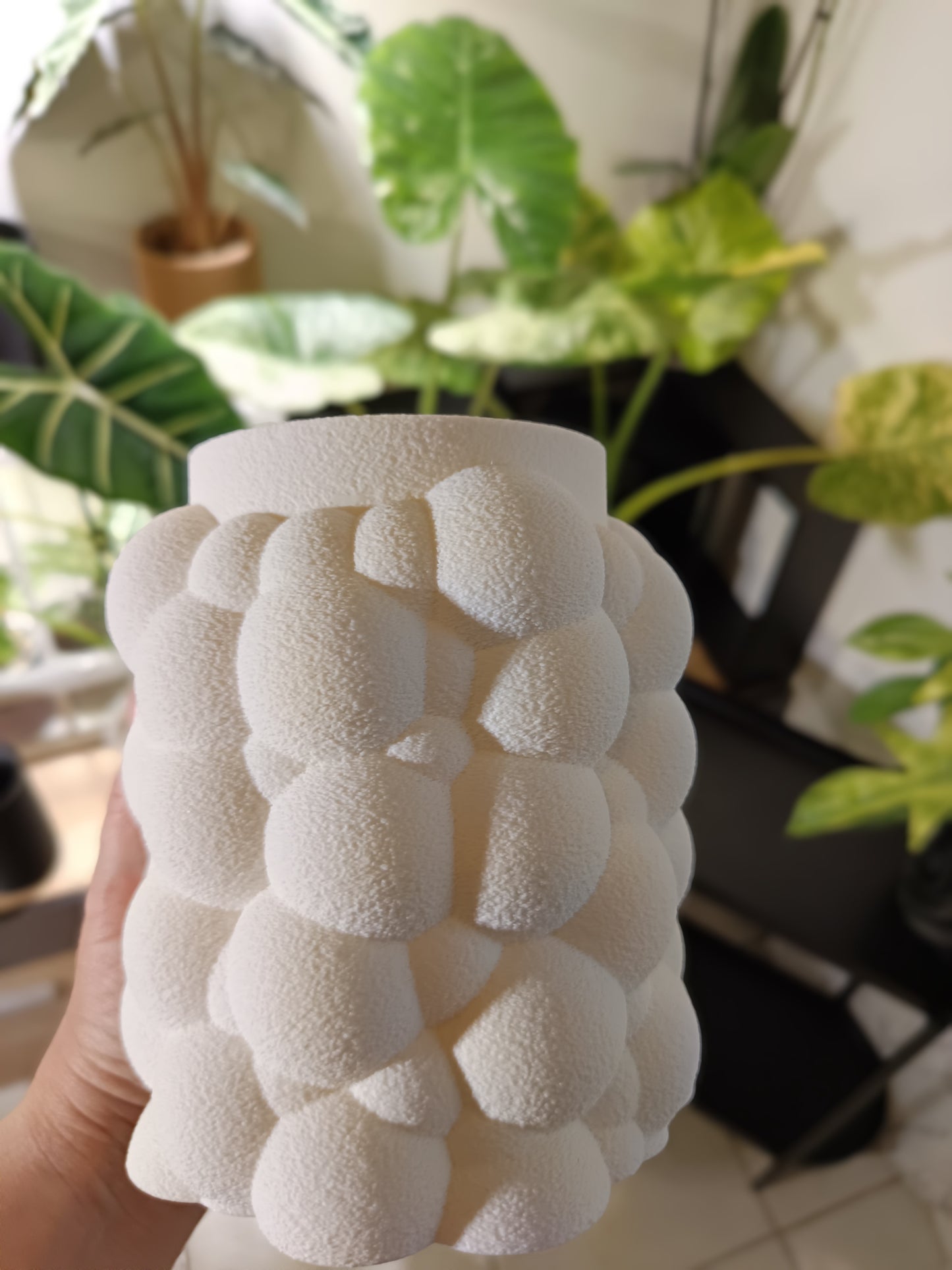 NestPot Bubble – Decorative Cage Cover for Aroid Nursery Pots