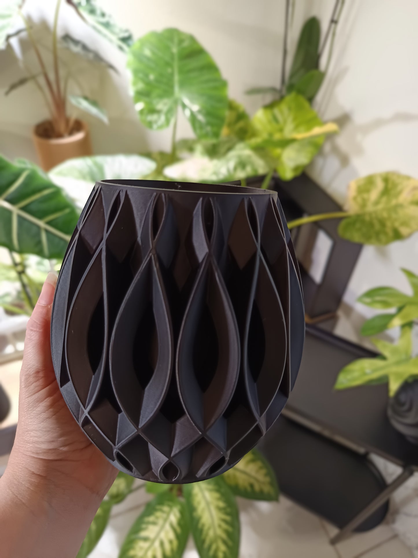 NestPot Viris – Decorative Cage Cover for Aroid Nursery Pots