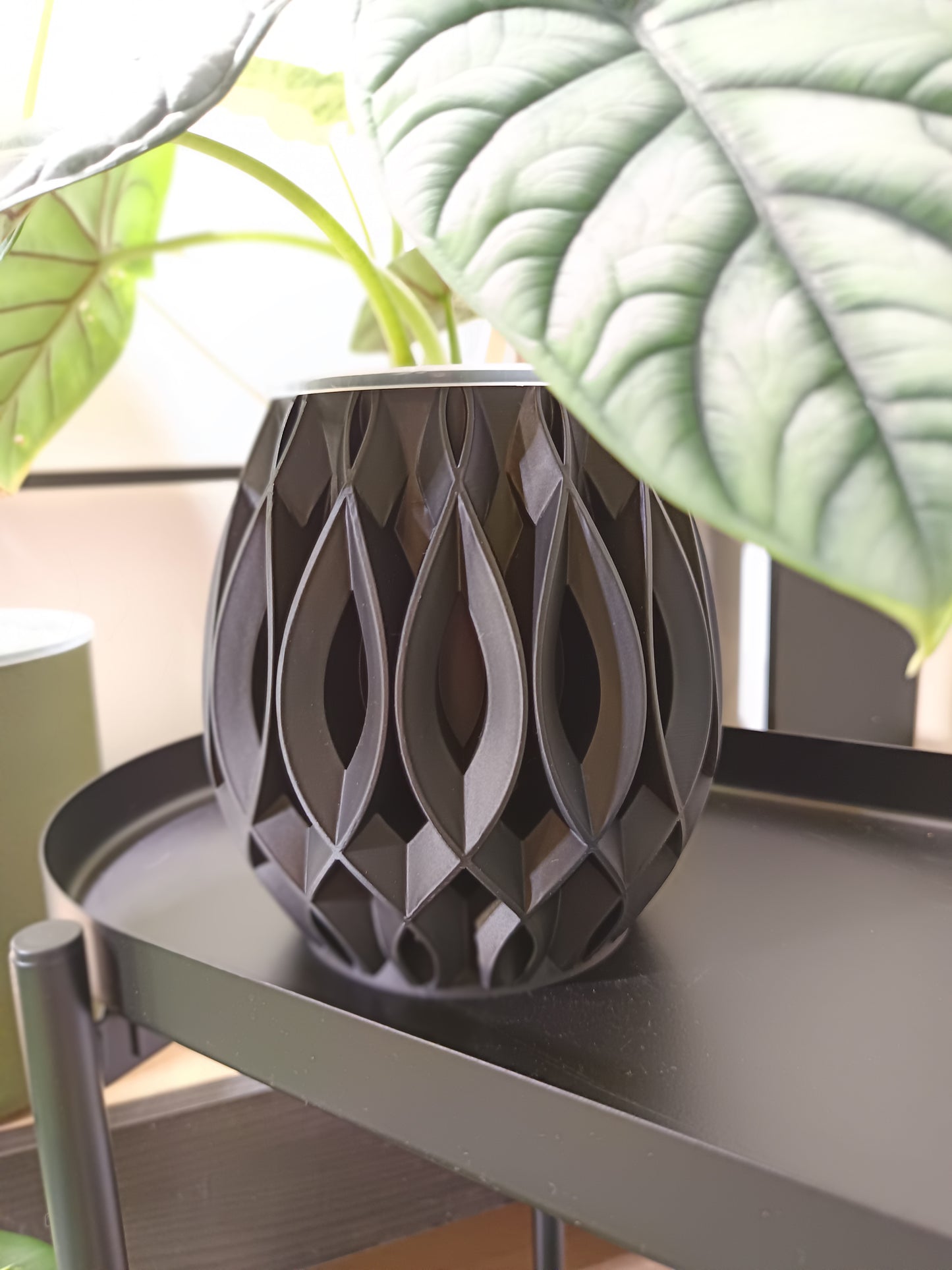 NestPot Viris – Decorative Cage Cover for Aroid Nursery Pots