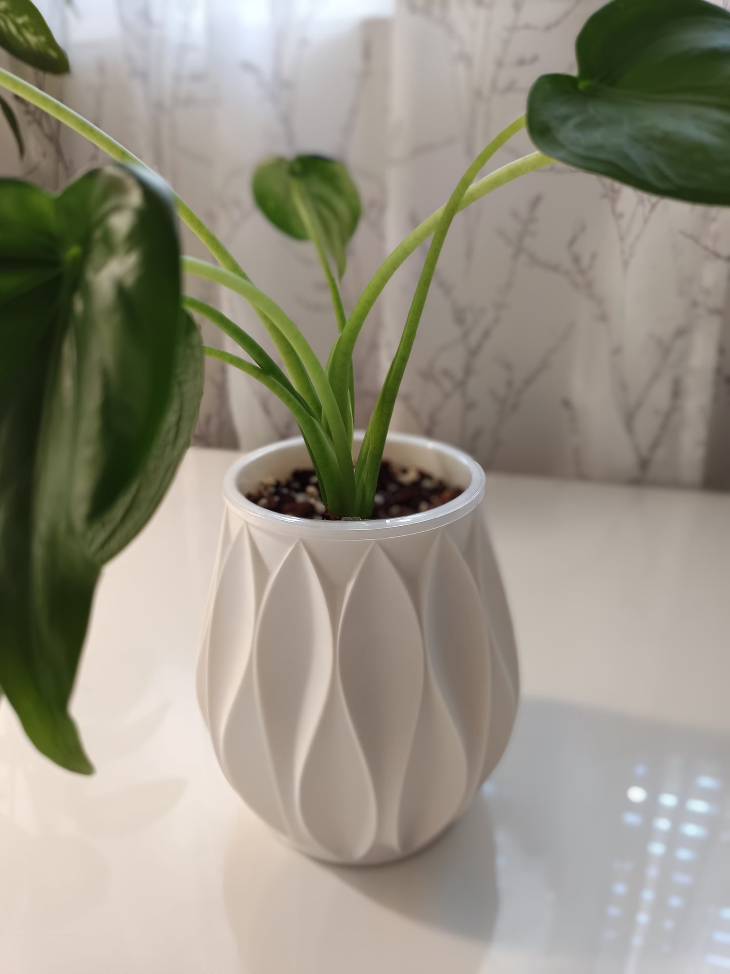 NestPot Abyssal – Decorative Cage Cover for Aroid Nursery Pots