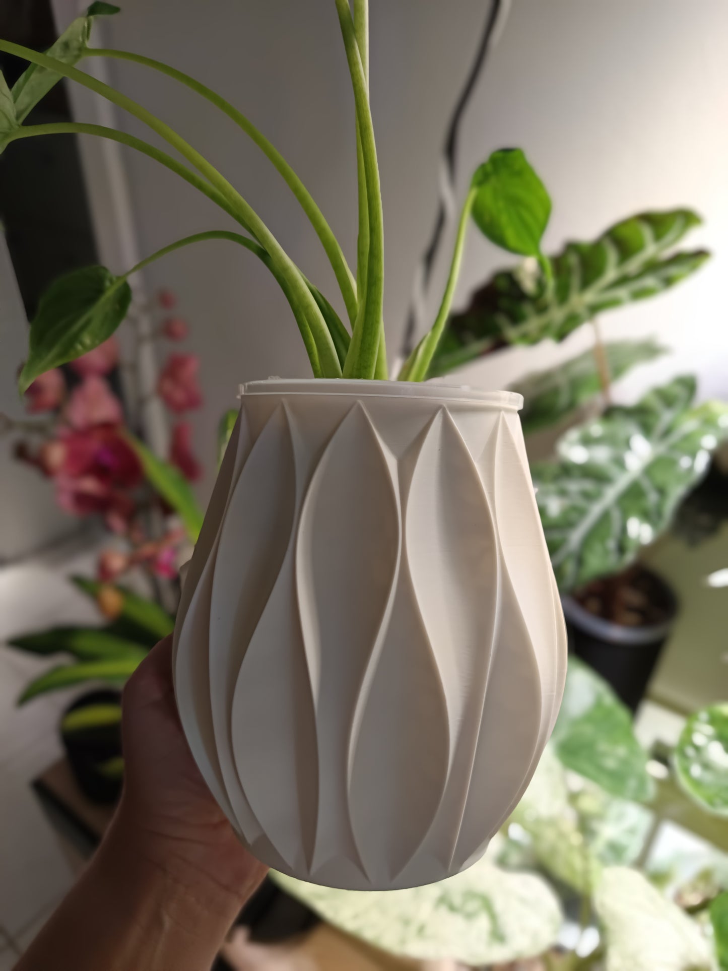 NestPot Abyssal – Decorative Cage Cover for Aroid Nursery Pots