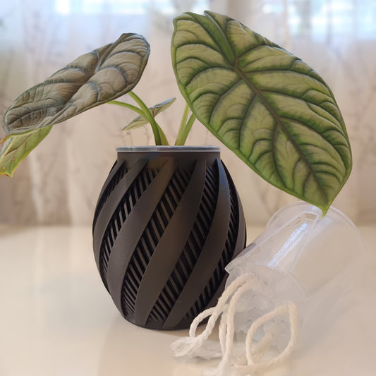 NestPot Krato – Decorative Cage Cover for Aroid Nursery Pots