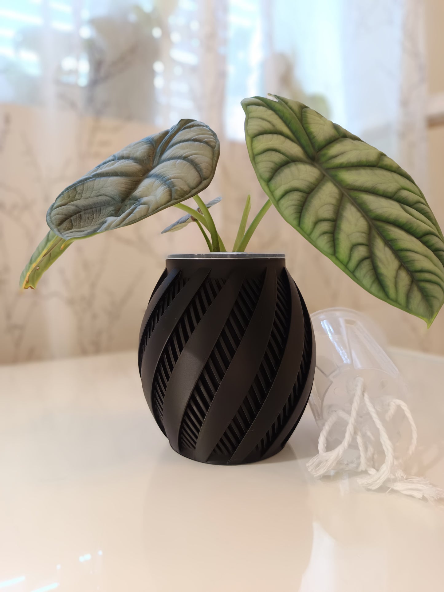 NestPot Krato – Decorative Cage Cover for Aroid Nursery Pots