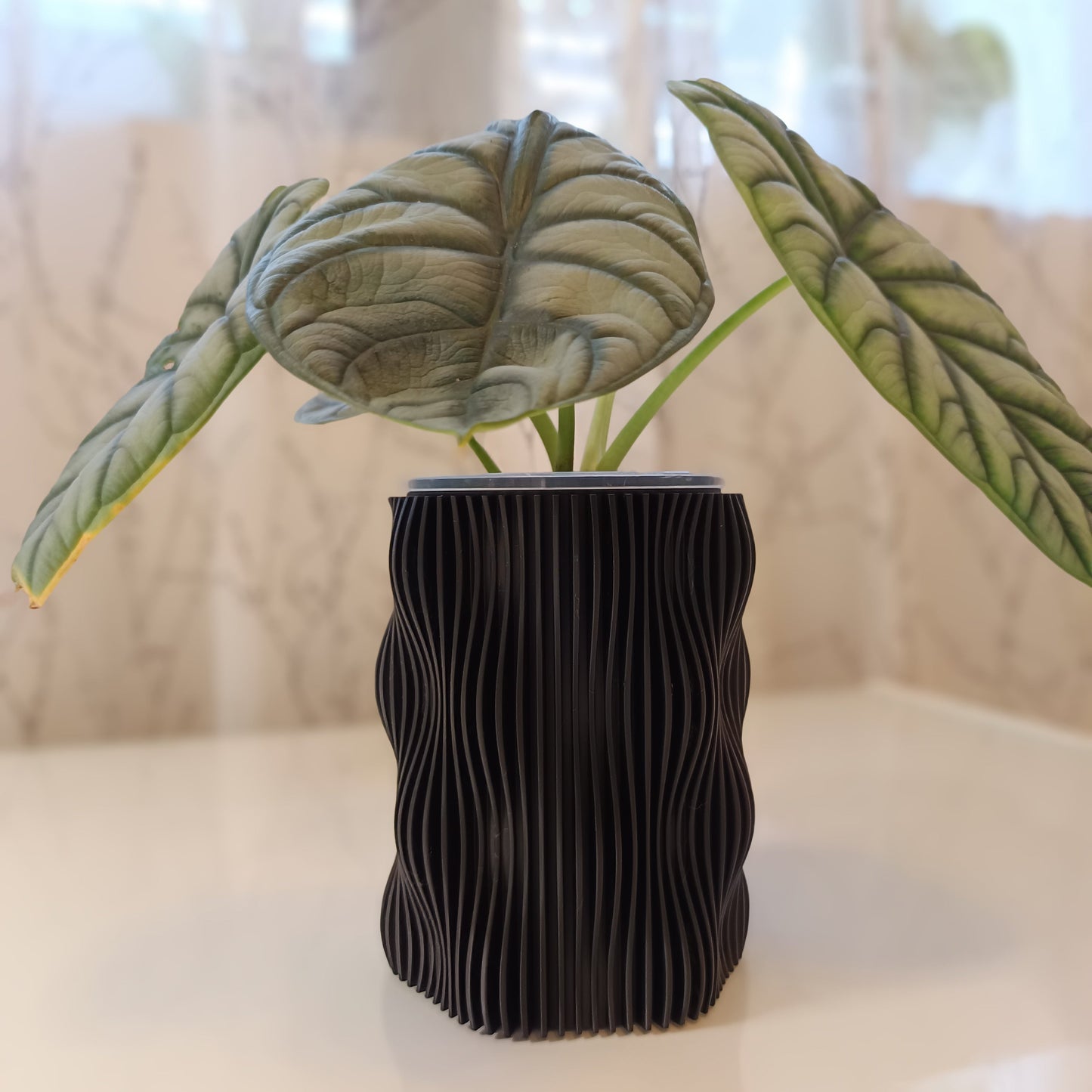 NestPot Muxel – Decorative Cage Cover for Aroid Nursery Pots