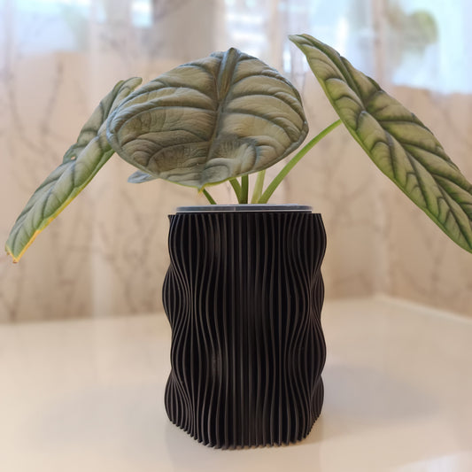 NestPot Muxel – Decorative Cage Cover for Aroid Nursery Pots