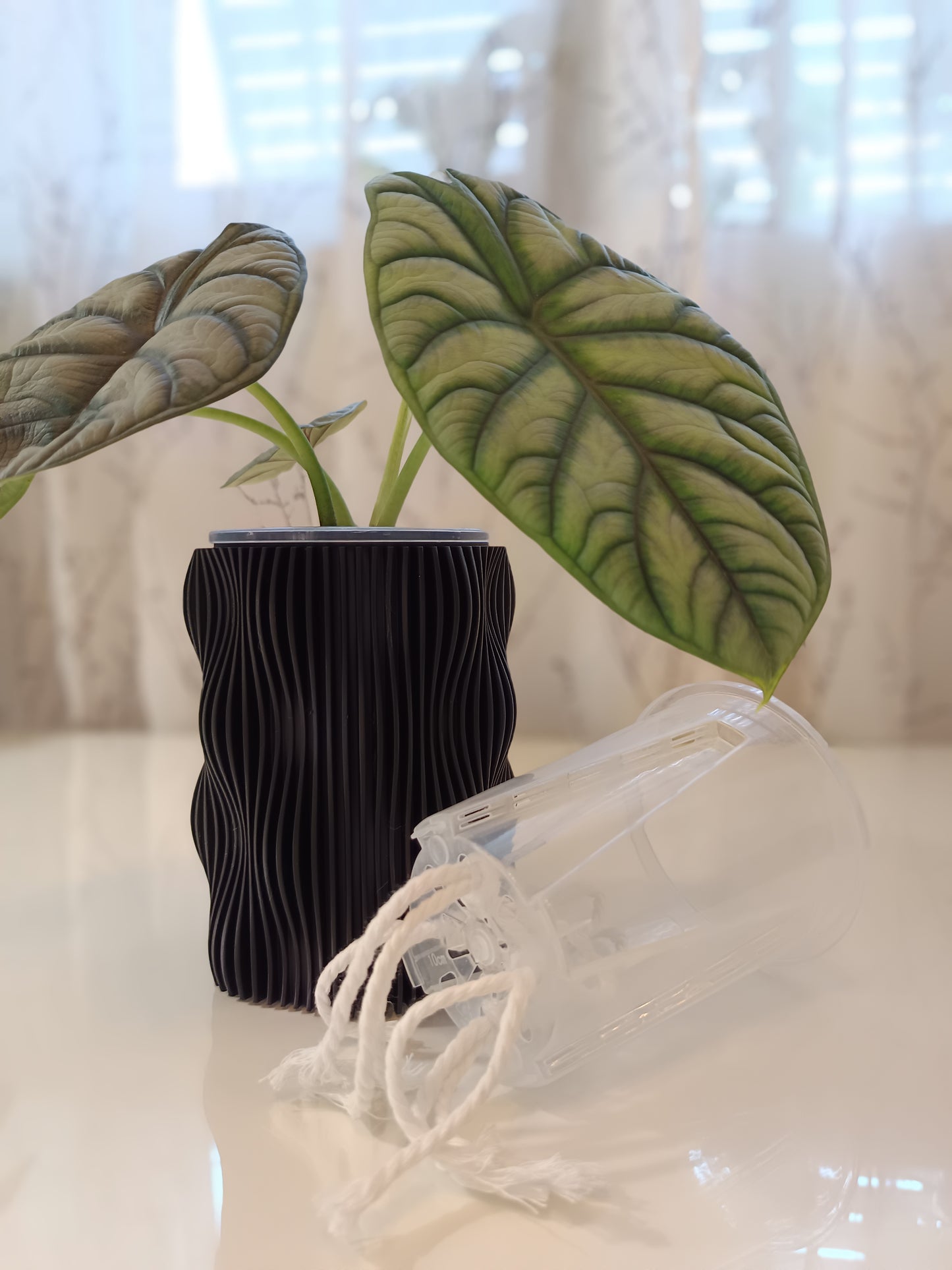 NestPot Muxel – Decorative Cage Cover for Aroid Nursery Pots