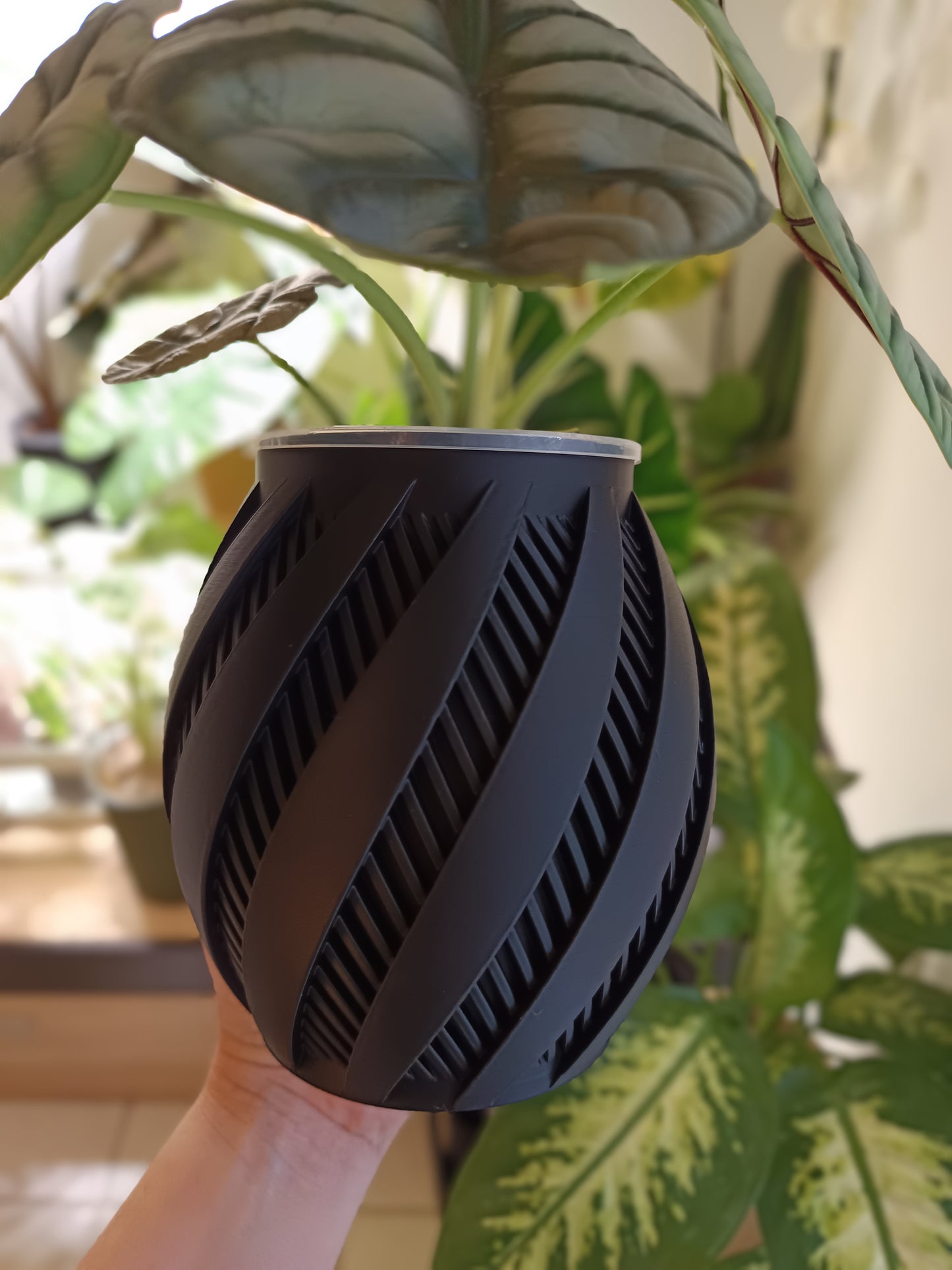 NestPot Krato – Decorative Cage Cover for Aroid Nursery Pots